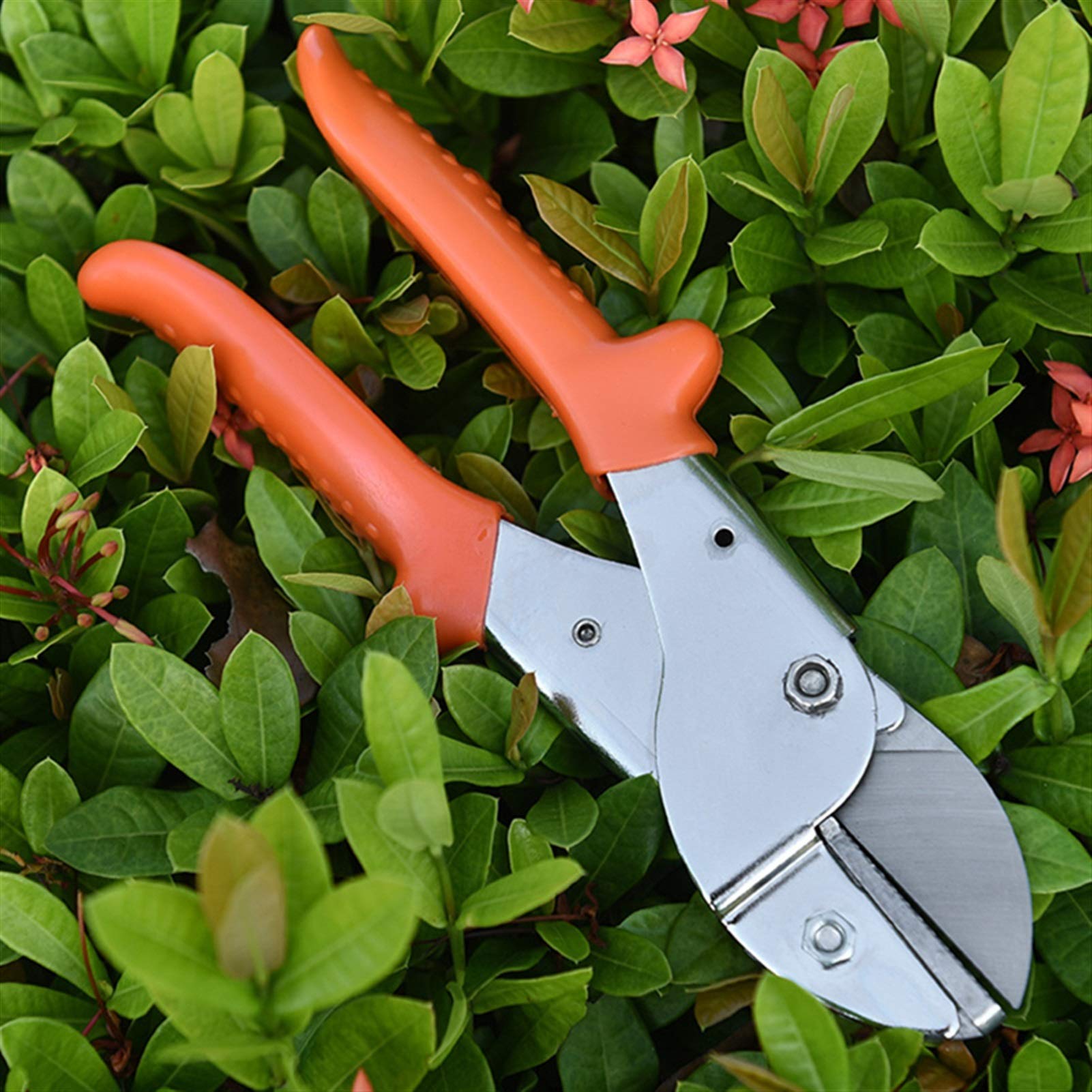 Attrezzi per potatura, cesoie, Giardinaggio, Alberi da frutto, attrezzo da Giardino, potatori per Bonsai, sarchiatori per innesti, Adatti per Giardini e Prati