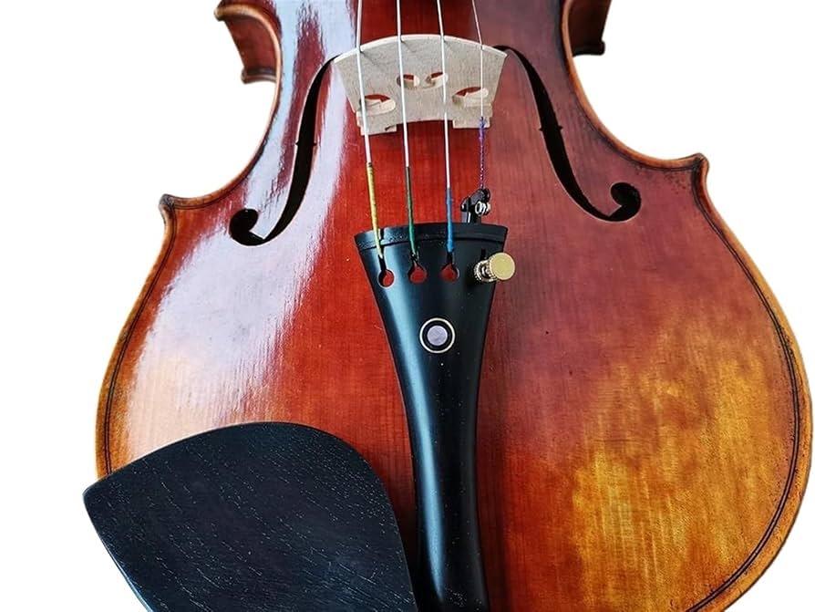 イタリア製 バイオリン4/4 本体(黒色ニス) イタリア製