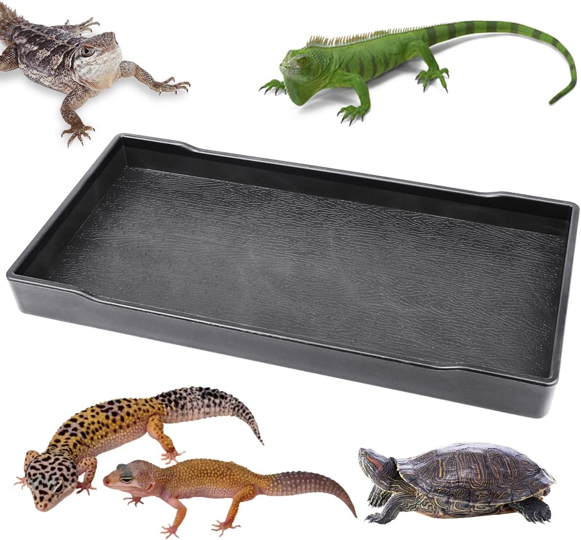 Reptile Food Water Bowl Plate Dish for Tortoise Crawl Pet Drinking and Eating Hallow Water Dish for Reptiles (Size1-S)