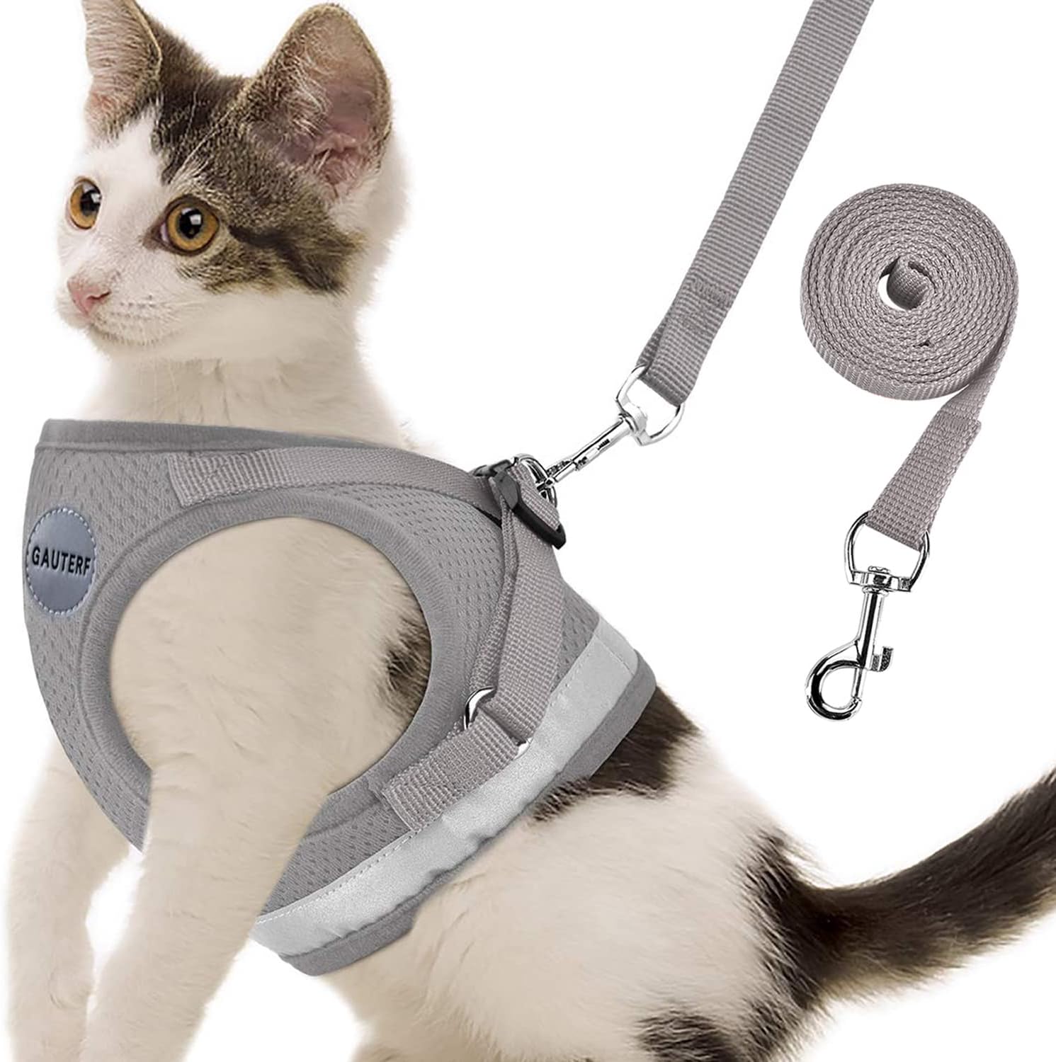 fitting a cat harness