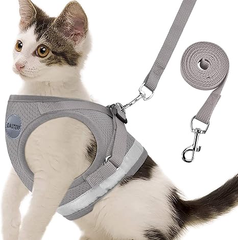 outdoor cat leash