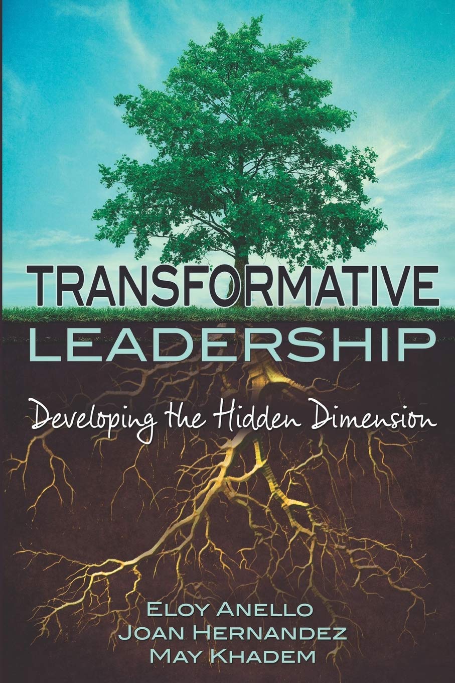 Transformative Leadership: Developing the Hidden Dimension: 1