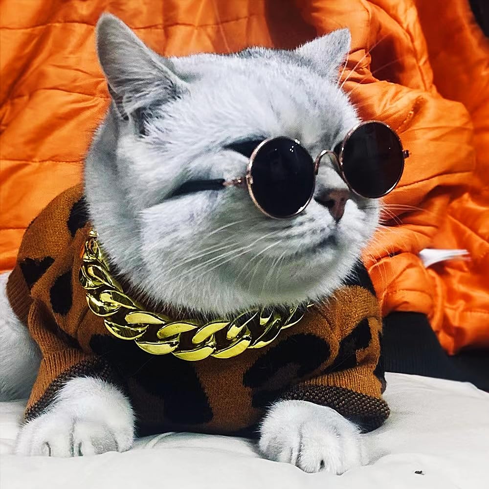 RexSpecs ドックサングラス　ペットサングラス　犬　アクセサリー Amazon | 【専用収納ボックス+ゴールドチェーンカラー+ペット 眼鏡】犬