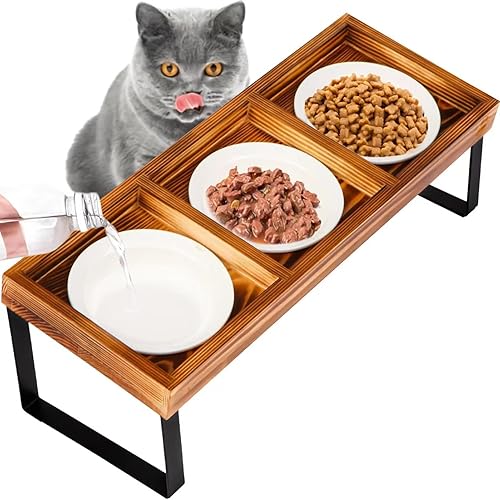 CHTSJQW Cuencos elevados de cerámica para gatos, juego de cuencos grandes inclinados de 15 para gatos de interior, soporte ortopédico de madera