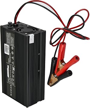 ExpertPower 12V 20A VRLA Battery Charger for Sealed Lead Acid Battery or Gel Battery