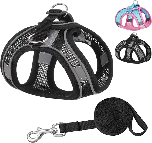 Pinenuts Reflective Dog Harness Small Dog and Leash Set, No Pull Mesh Dog Vest Harness, Comfortable Breathable Dog Walking Harness for Puppy/Small Animals/Cats