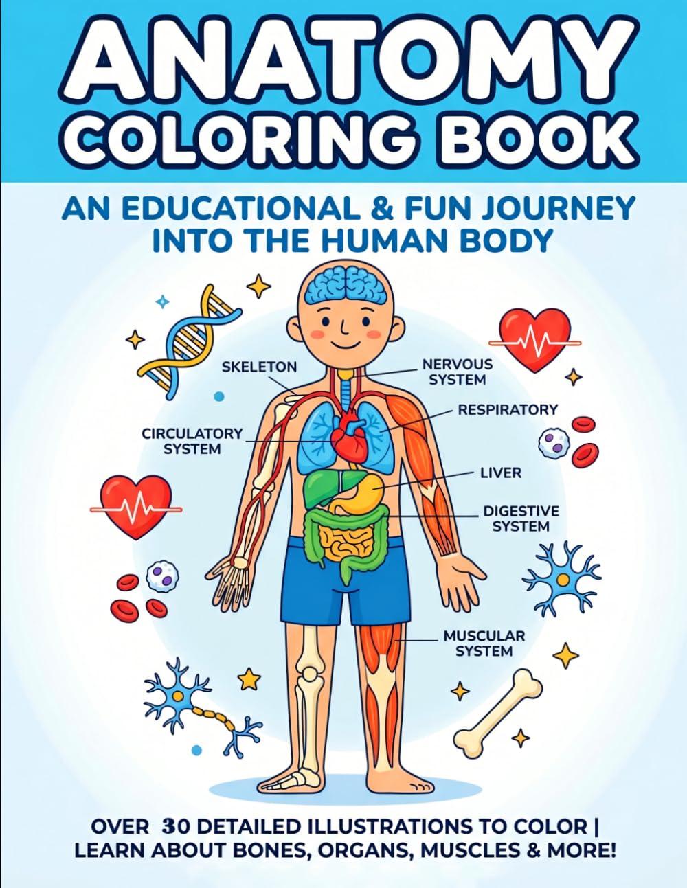 Anatomy Coloring Book: A Relaxing and Educational Journey Through the Human Body | Detailed Anatomy for Adults, Students & Beginners