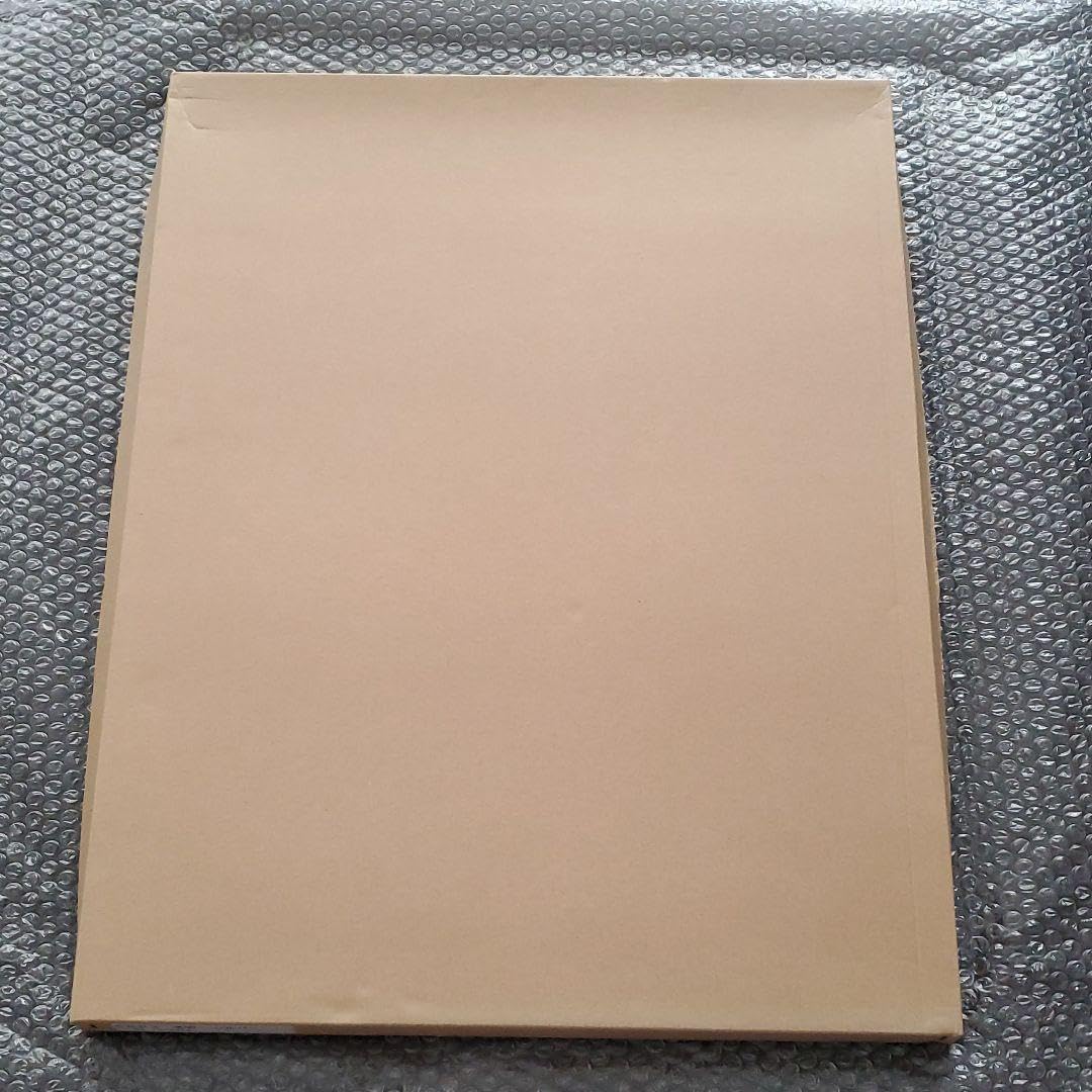 Amazon.co.jp: ワンピ ース ジャンプフェスタ2009 複製原画 : おもちゃ