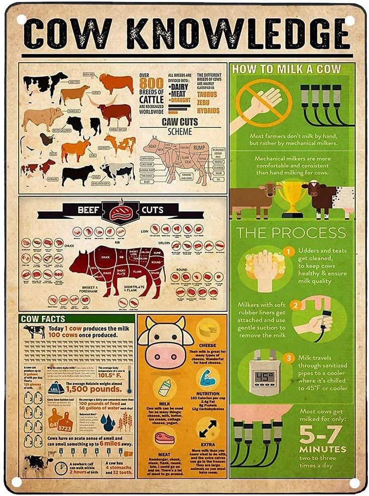 rayprint Metal Sign Cow Knowledge Retro Metal Tin Sign Decoration Bar Cafe Club Wall Plaque Posteres 8x12inch