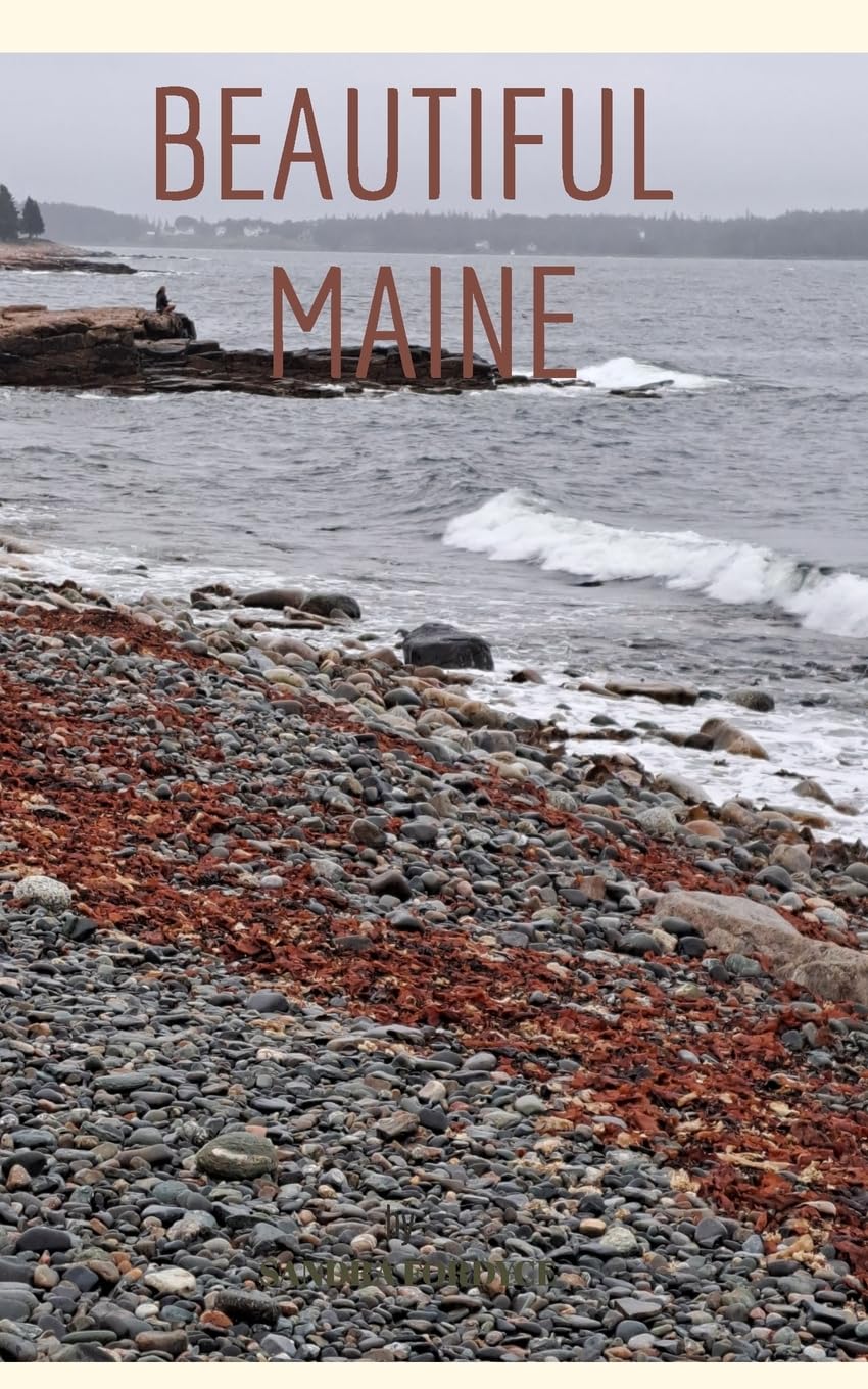 Beautiful Maine affiche d'art minimaliste pour sublimer la déco de votre salon