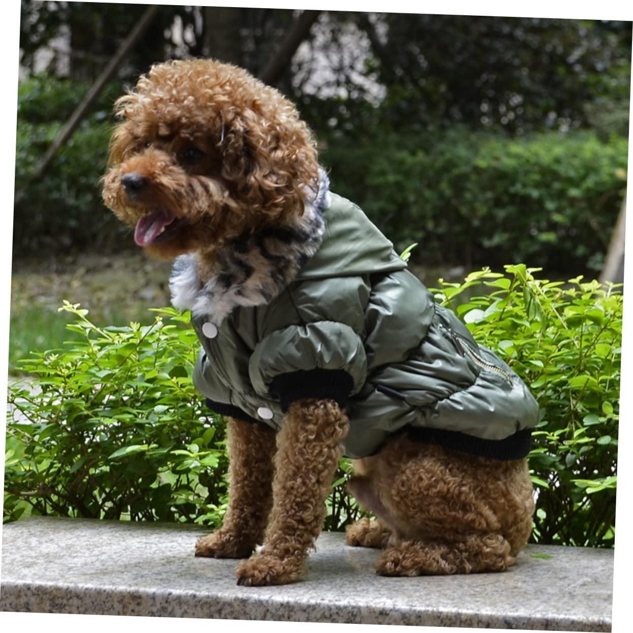 SUPVOX 2pièces Manteau pour Chien Épais Réversible Vert XS pour Garder Animal Chaud Et Hiver