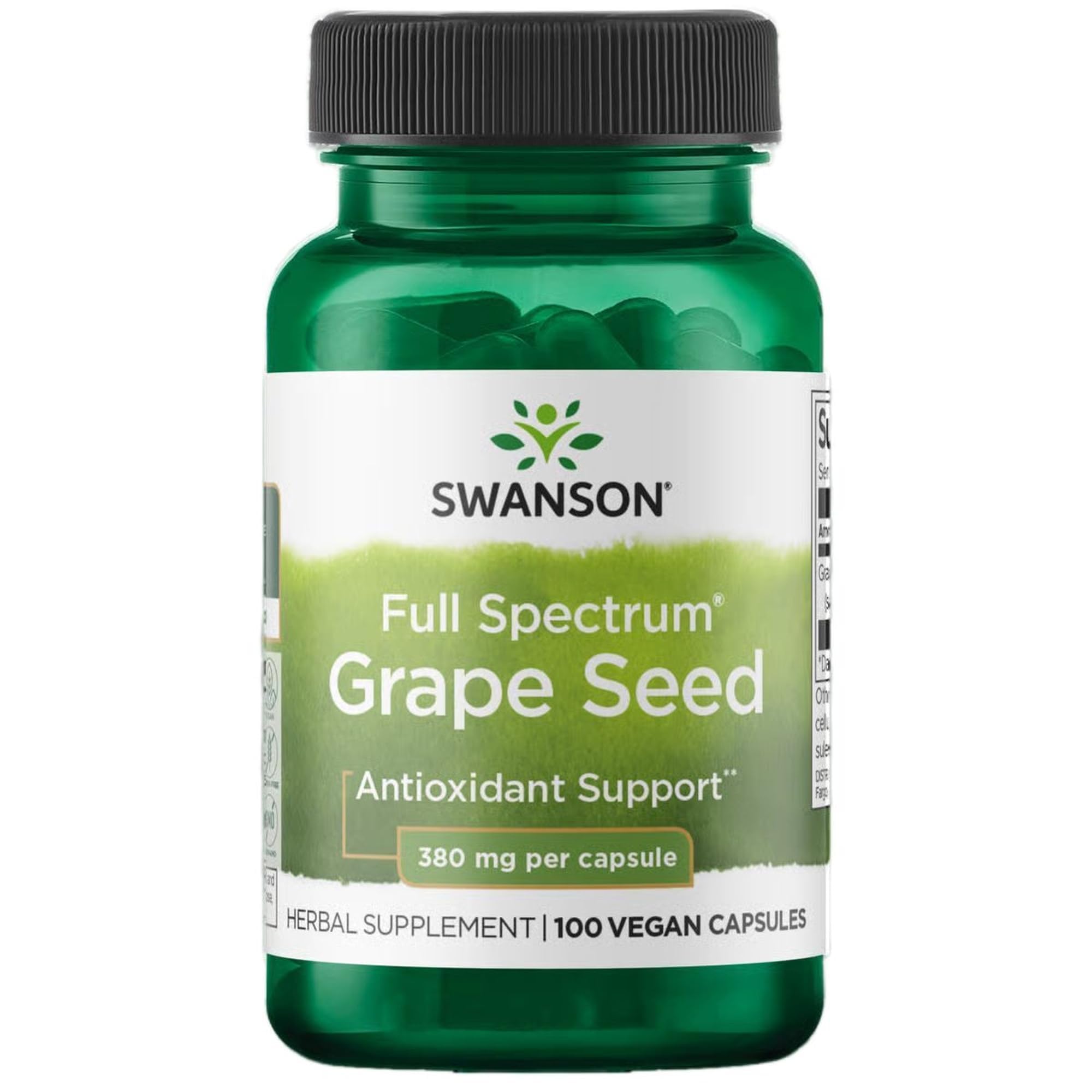 Swanson Grape Seed Extract, Herbal Supplement, 380 mg, 100 Capsules 100 Count (Pack of 1)