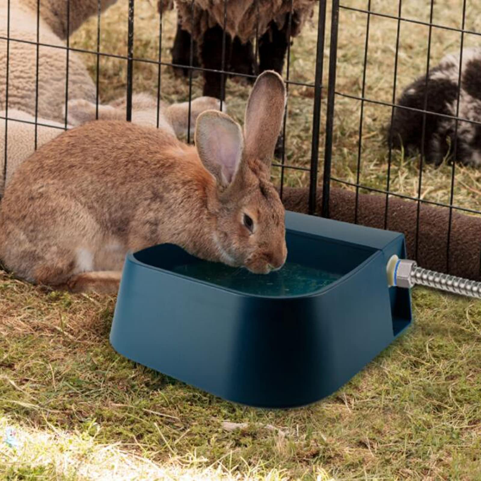 Bebedero Perros Grandes,Boyas para Bebederos,Comedero Gallinas Automatico,Suministro de Agua Ilimitado,para Perros, Gatos, Gallinas, Patos, Caballos, Ovejas,2L