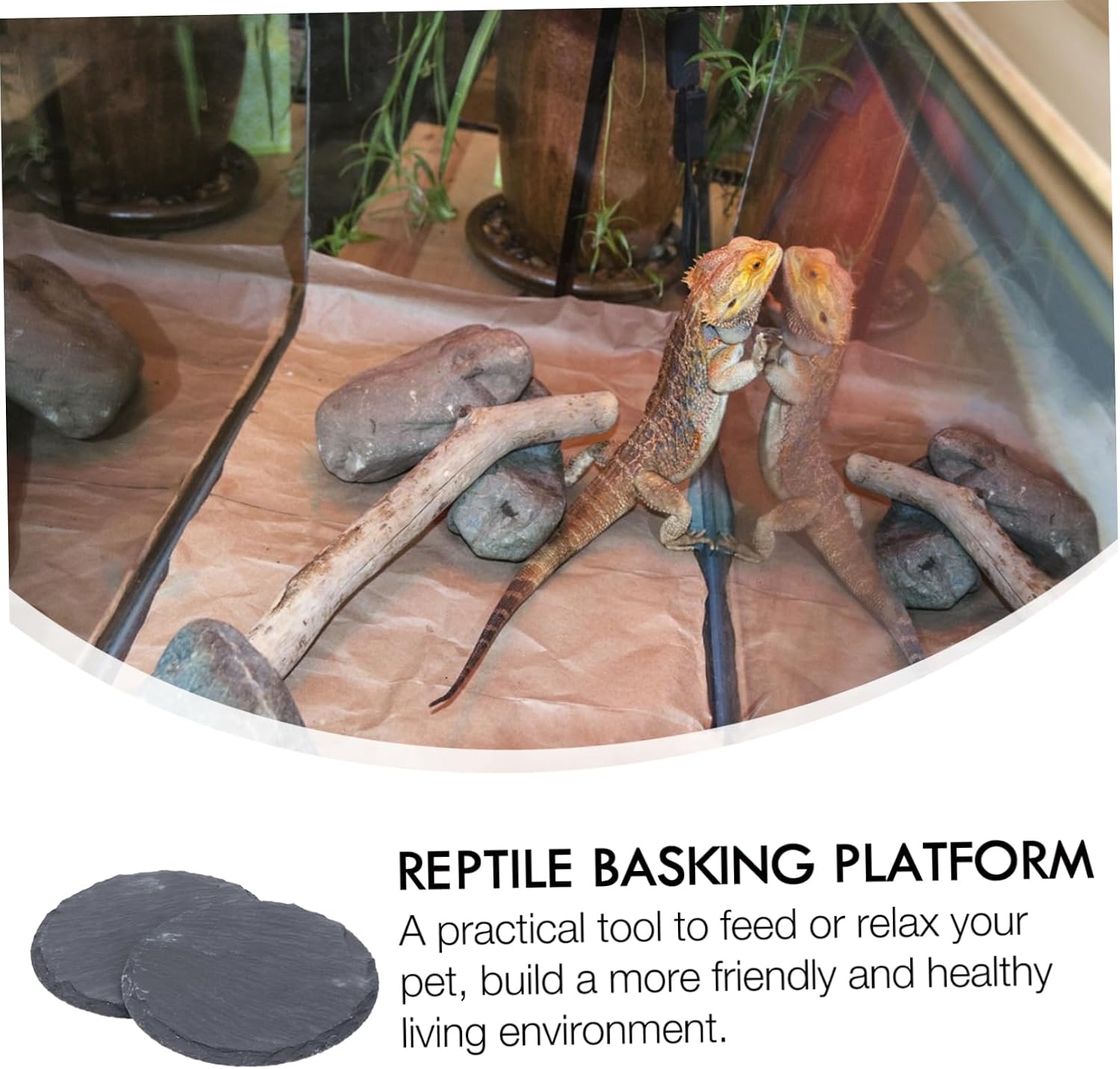 Reptile Basking Platform Stone Dish 2Pcs for Small Reptiles
