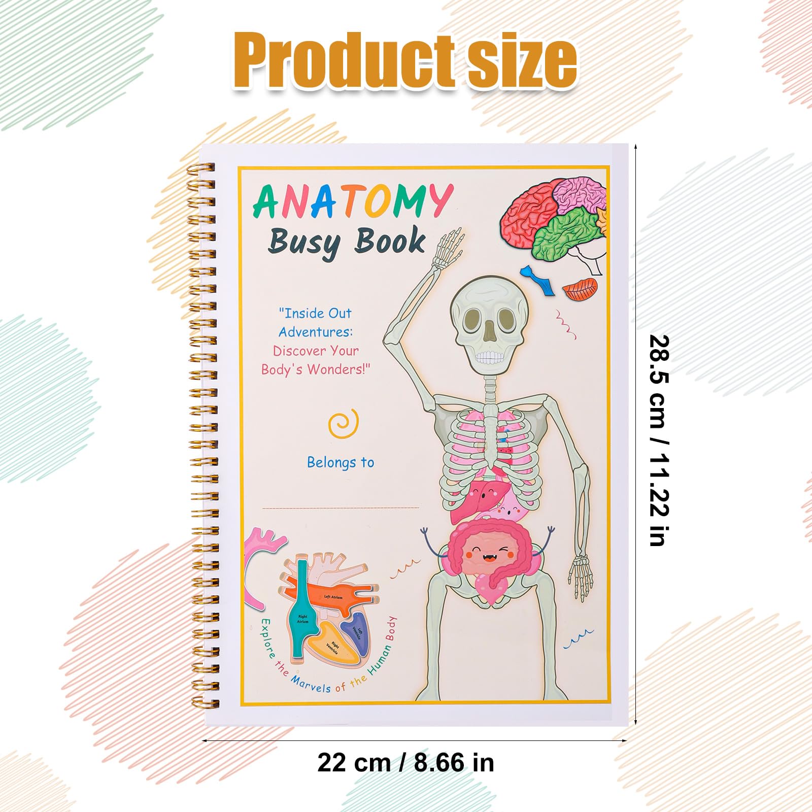 Montessori Busy Book for Kids Human Anatomy Busy Book My Preschool Busy Book for Kindergarten Interactive Learning Activities Understanding Human Body Kids Anatomy Book - Image 2