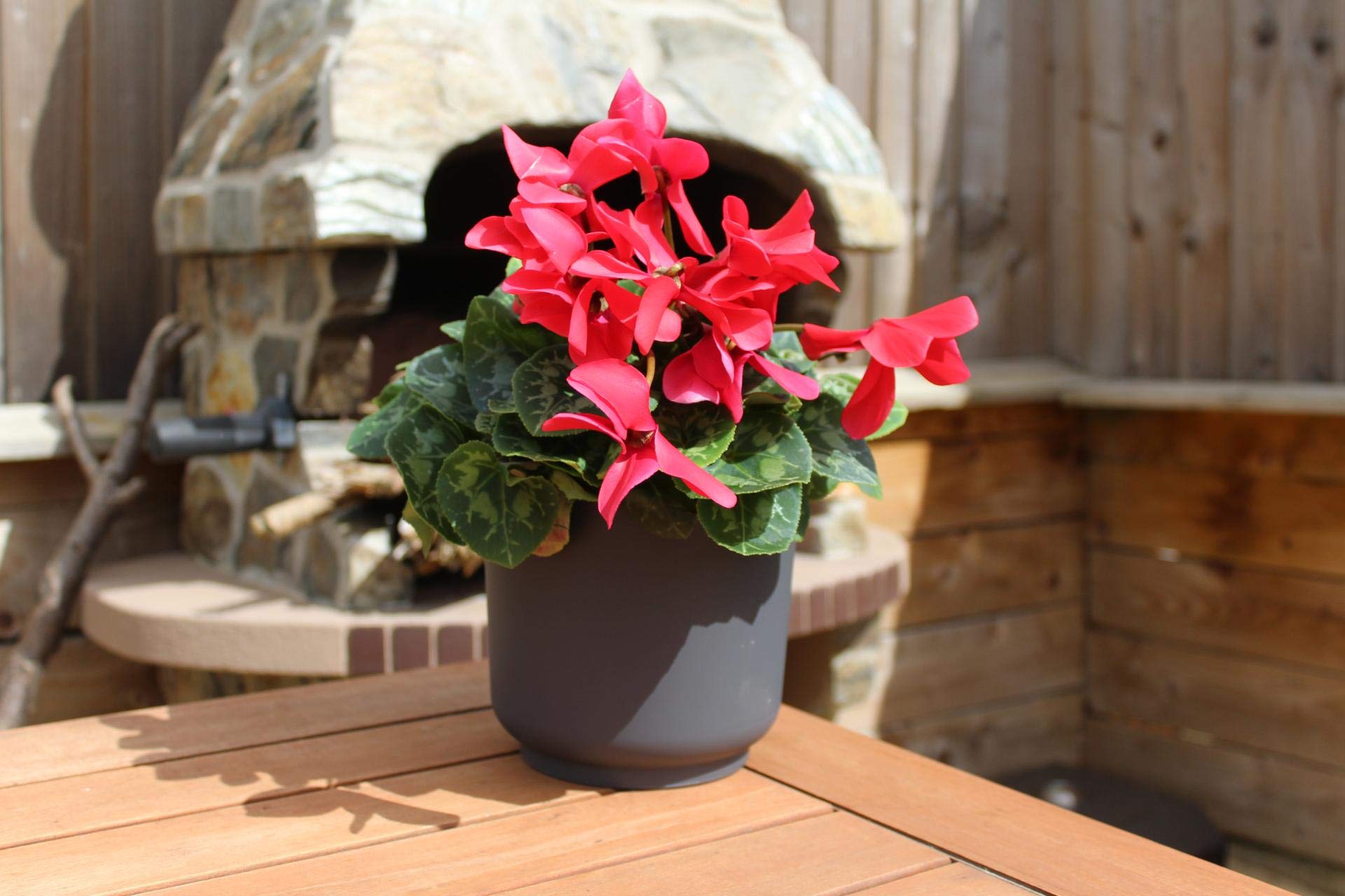Vasi Per Piante Moderni Con Supporto Gambe Nel Legno Camera Da Letto Soggiorno Pavimento Vaso Fiori Fioriere Giardino La Casa B 87936867