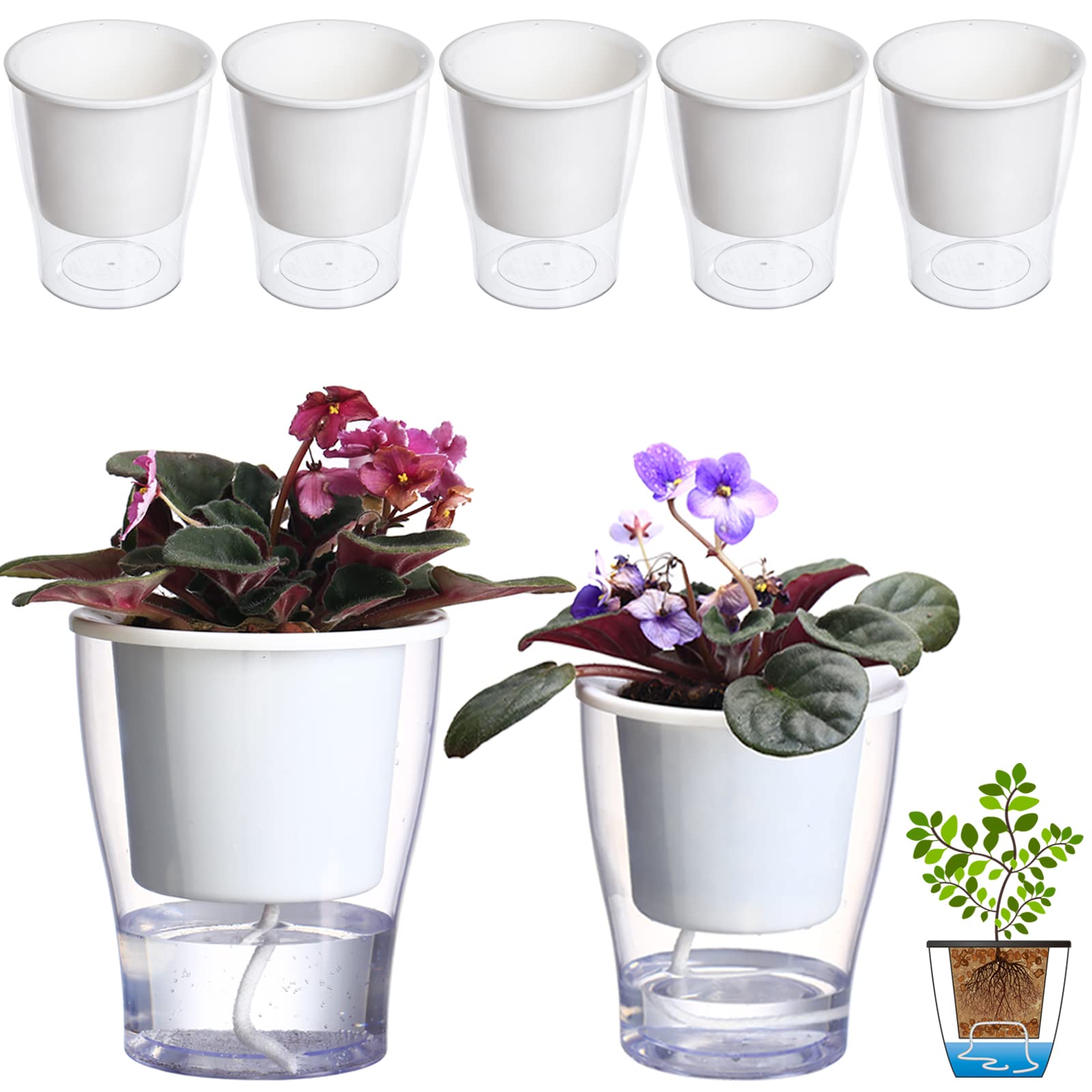 5Pack 5.1 Inches Clear SelfWatering Planters African Violet Pots