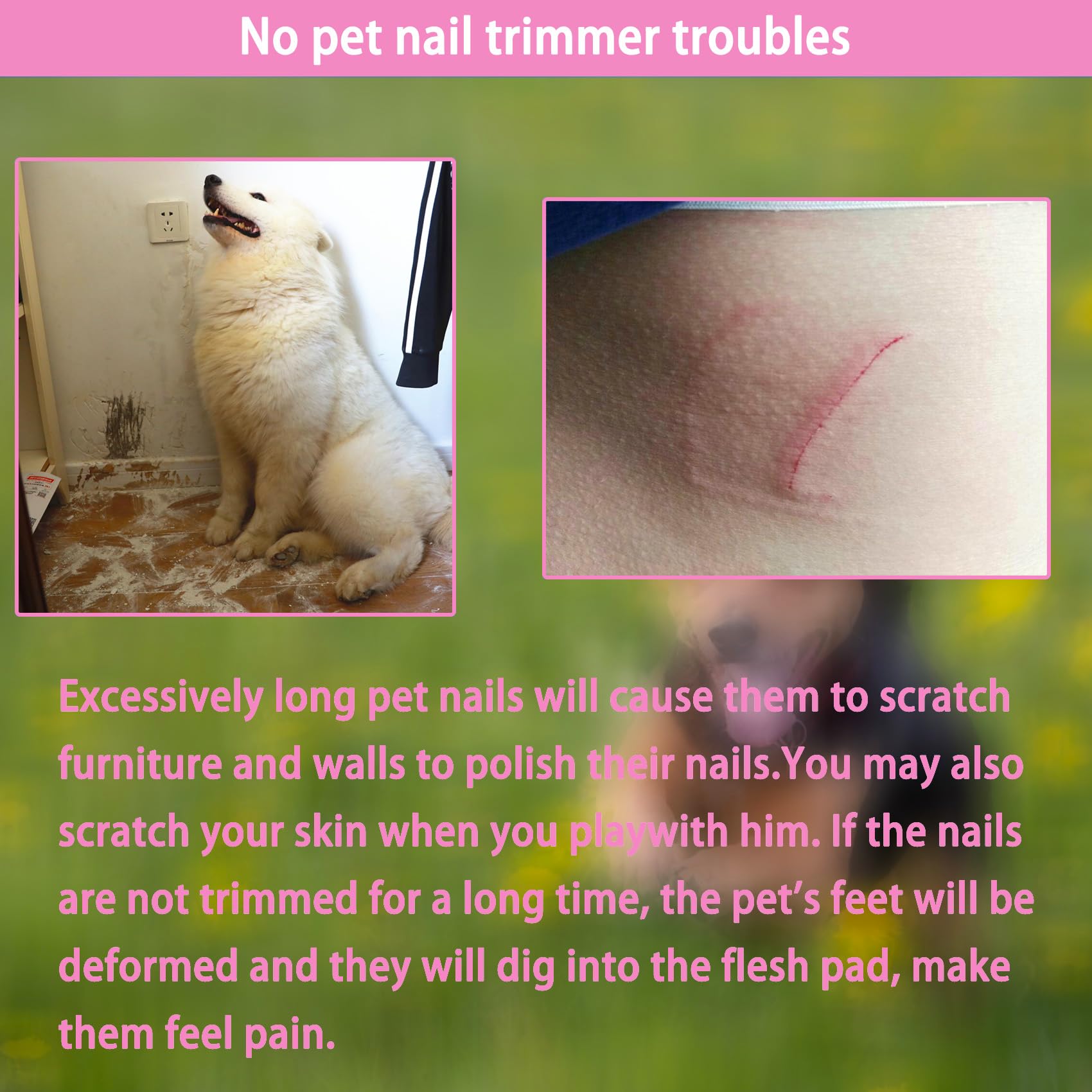 Kit de 5 cortaúñas para perros y gatos, con cierre protector para evitar cortes excesivos, recortadores profesionales para gatos y perros grandes y pequeños (rosa)
