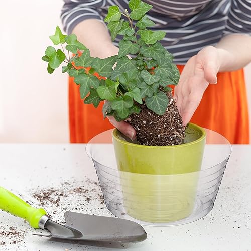 Miniatura 4 de Hoolerry 15 platillos de plástico para plantas, bandeja de goteo profunda transparente gruesa para plantas, bandejas de goteo para macetas, bandejas