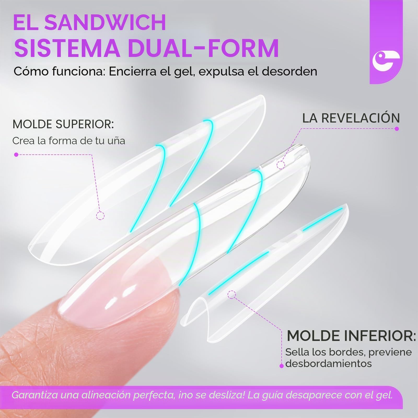 Gelike ec Formas de uñas profesionales dobles para gel constructor: diseño sándwich formas de uñas 240 piezas 15 tamaños – para extensiones de gel impecables – Fácil para bricolaje y salón
