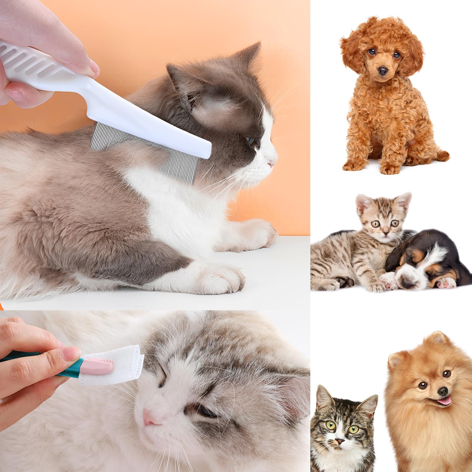 Peigne multifonction pour animaux de compagnie - 4 peignes en plastique pour chats et chiens - Efficace contre les puces et les poux - Soin pour propriétaires d'animaux de compagnie