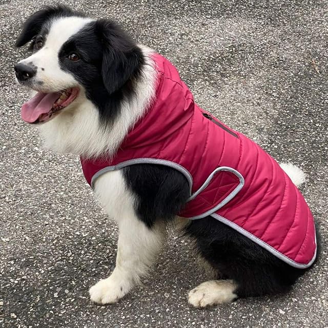 Foto 6 de 6 de HotYou Abrigo de Invierno para Perro, Chaleco cálido, con Capucha, Ropa Impermeable para Mascotas pequeñas