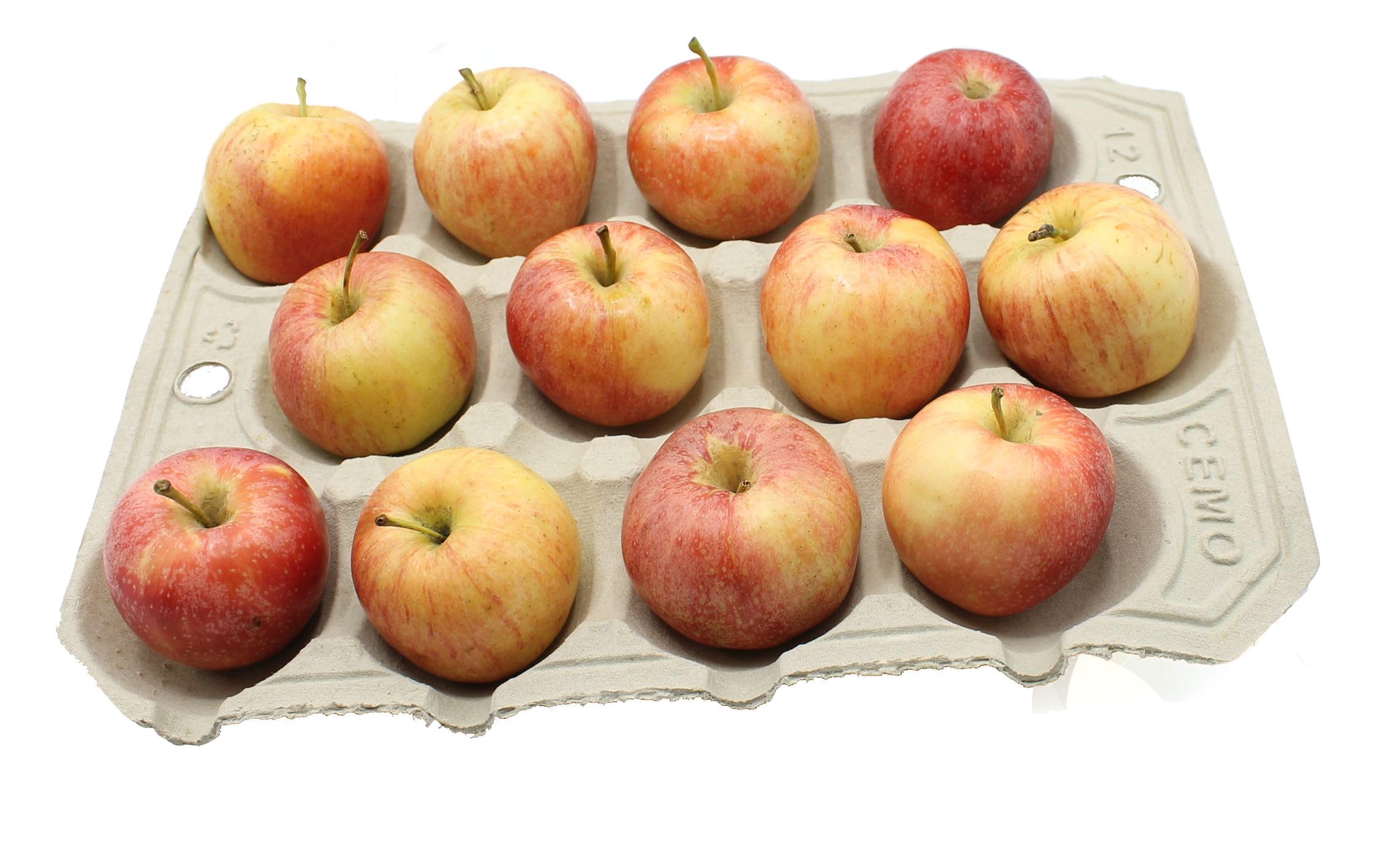 Gardening Naturally Apple Tray Crop Storage Apples Biodegradable (100)