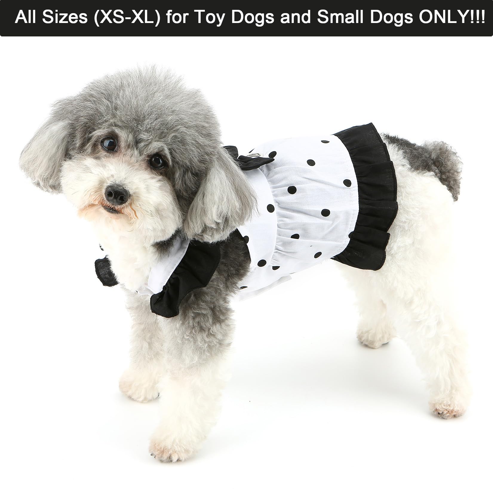 YUN様☆犬服☆ハンドメイドオーダー☆2着✩.*˚ 犬服 ハンドメイド tanto様オーダー品 - メルカリ
