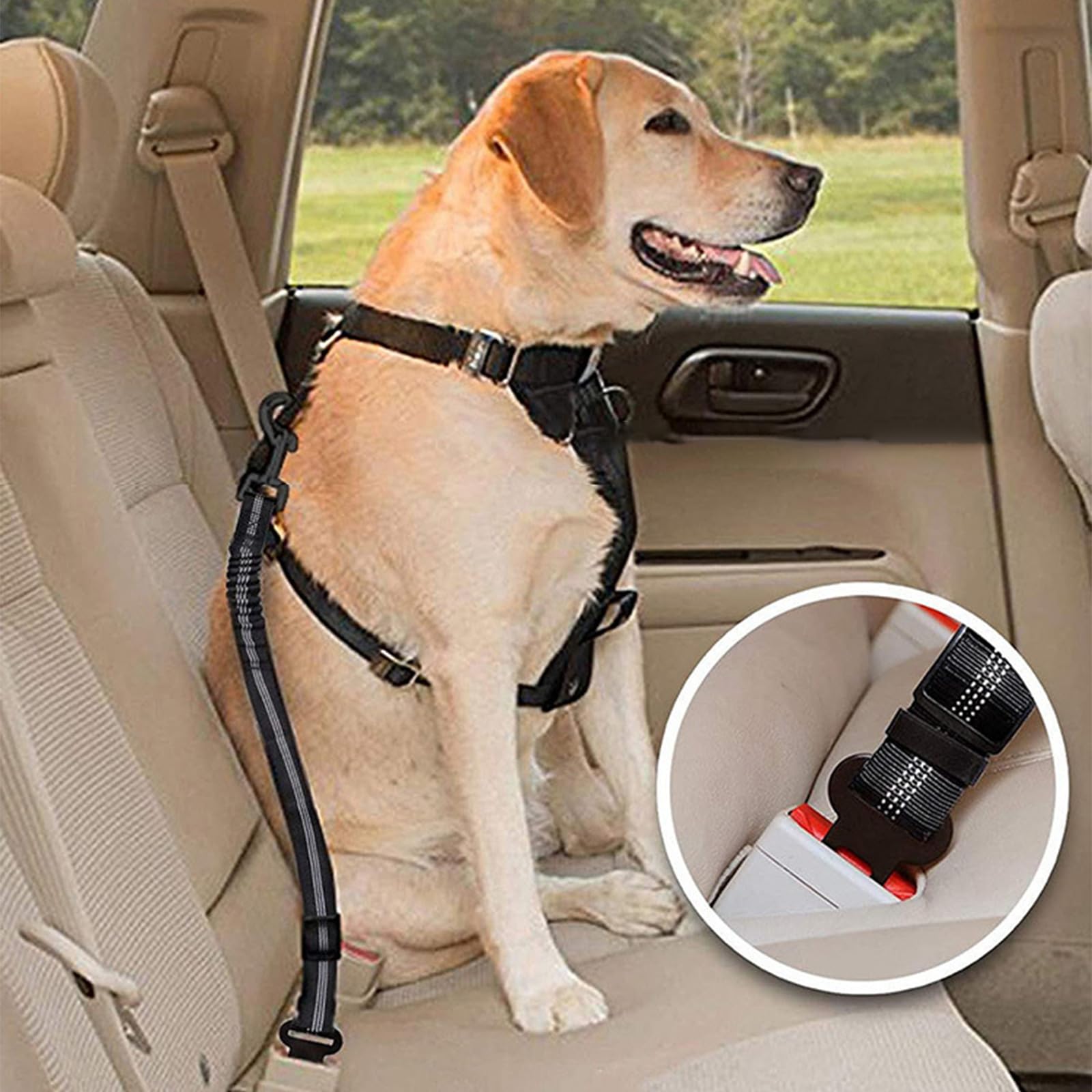 Adjustable Canine Car Safety Harness - Shock-Absorbing Seatbelt Clip with Bungee Buffer for Travel, Black - Image 3