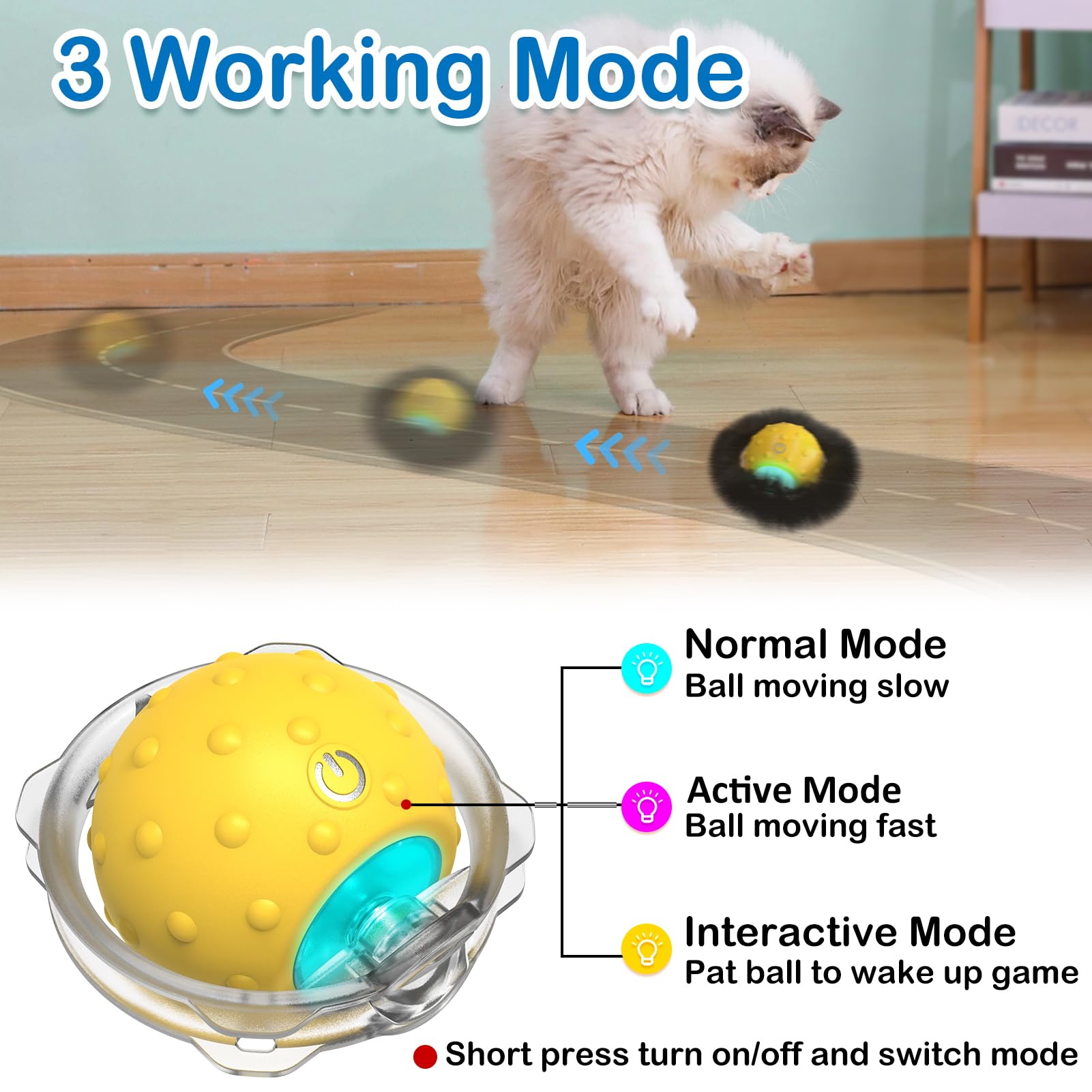 Build a Daily Indoor Rhythm