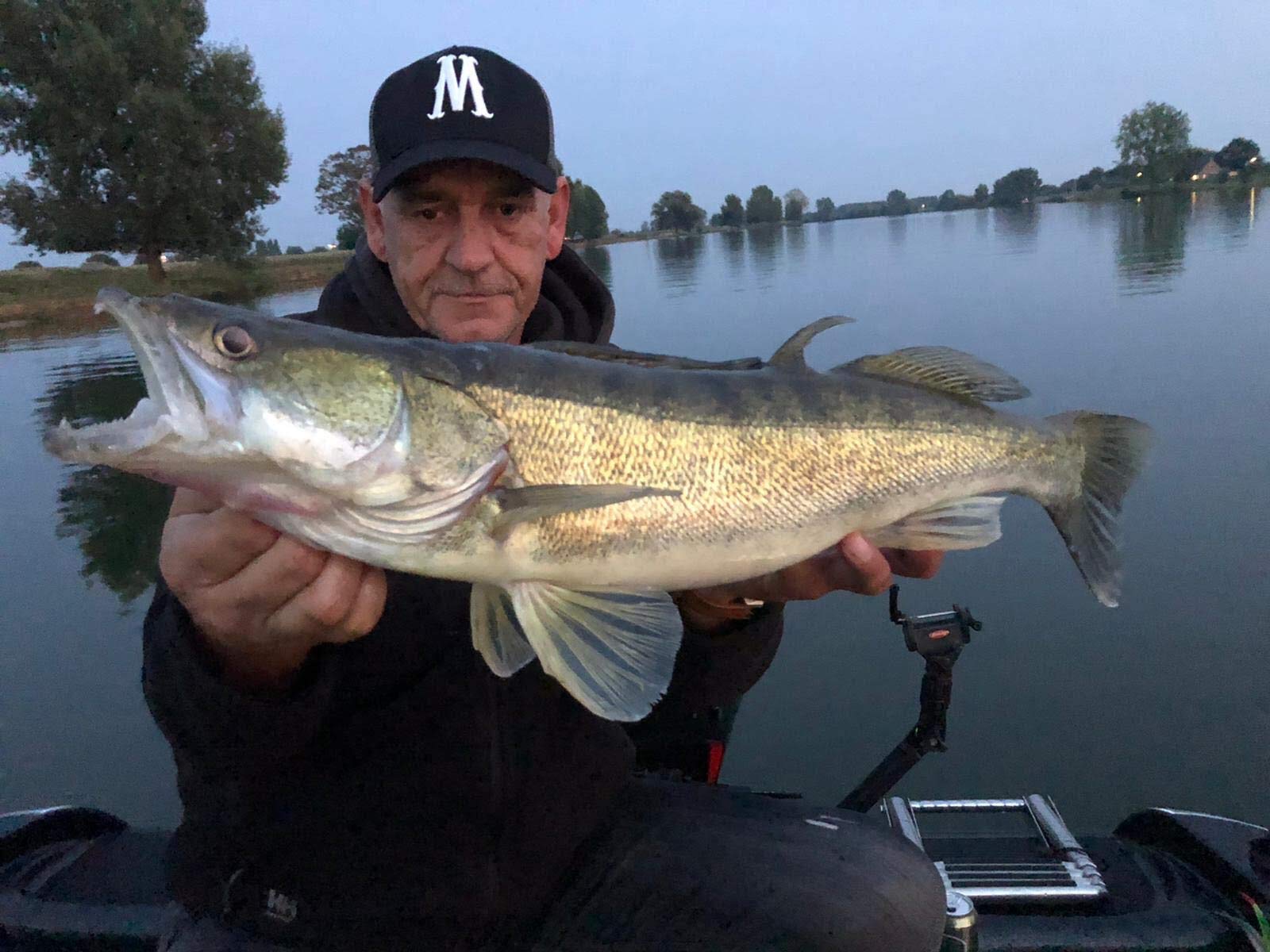 Zander Tactical Box 36 pièces poisson en caoutchouc avec têtes plombées + accessoires pour poissons prédateurs