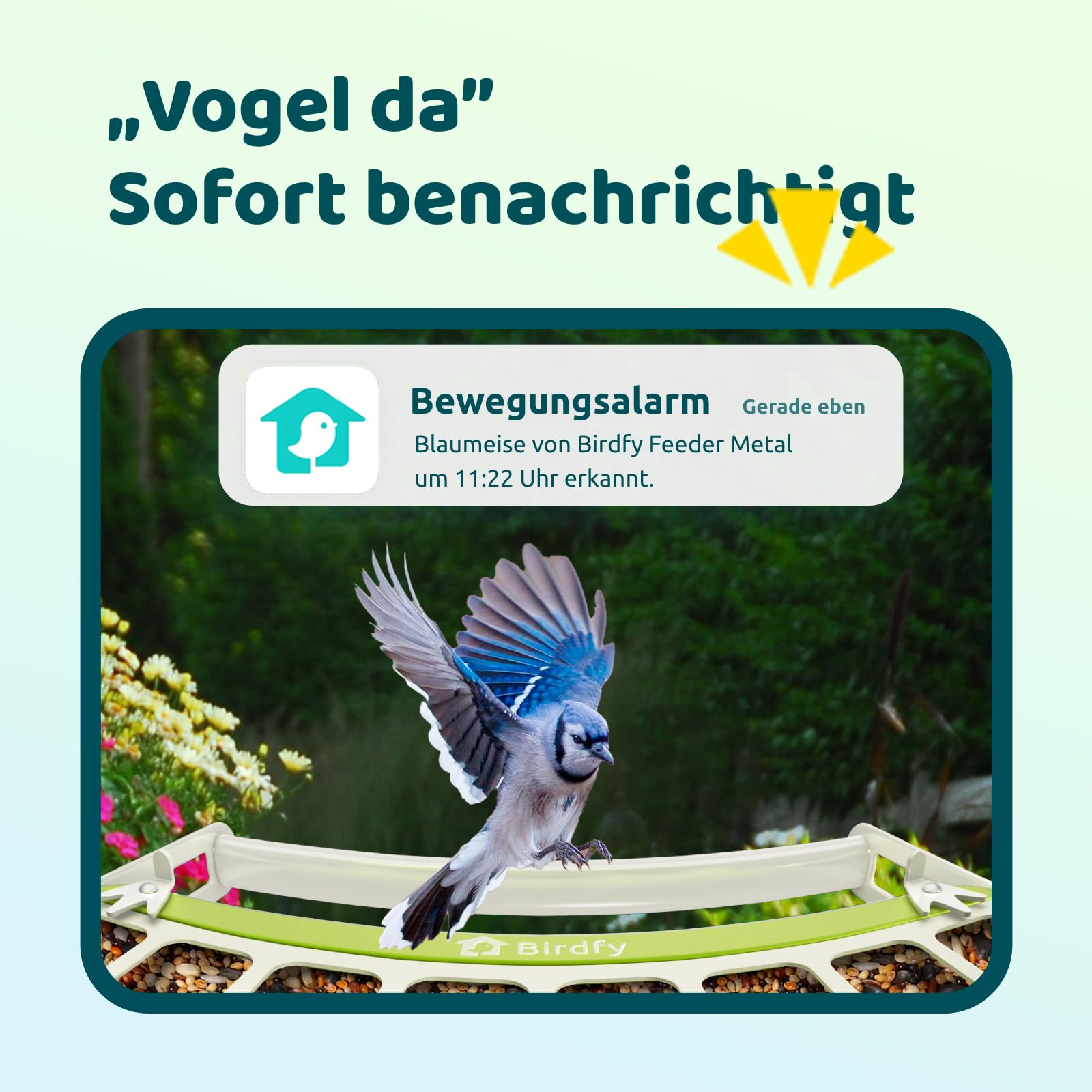 Birdfy Metall Vogelfutterhaus mit Kamera zur Live-Vogelbeobachtung, KI Vogelerkennung ohne ABO, 1080P Kabellos Vogelfutterstation mit Farbnachtsicht, Echtzeit-Benachrichtigung, Solarbetrieb