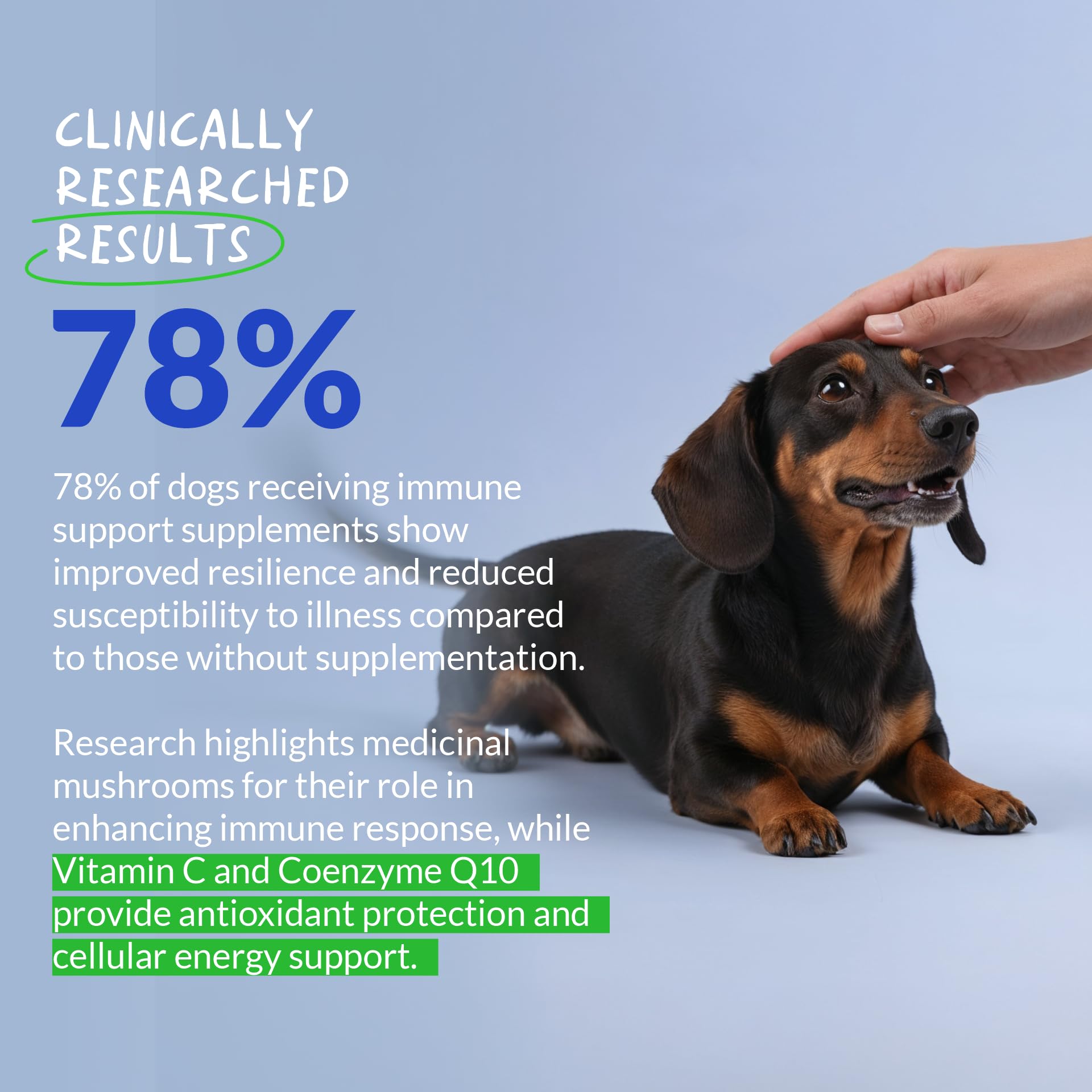 Turkey Tail Mushroom Supplement for Dogs Lumps & Bumps Support, 120 ct — Amazon image 3
