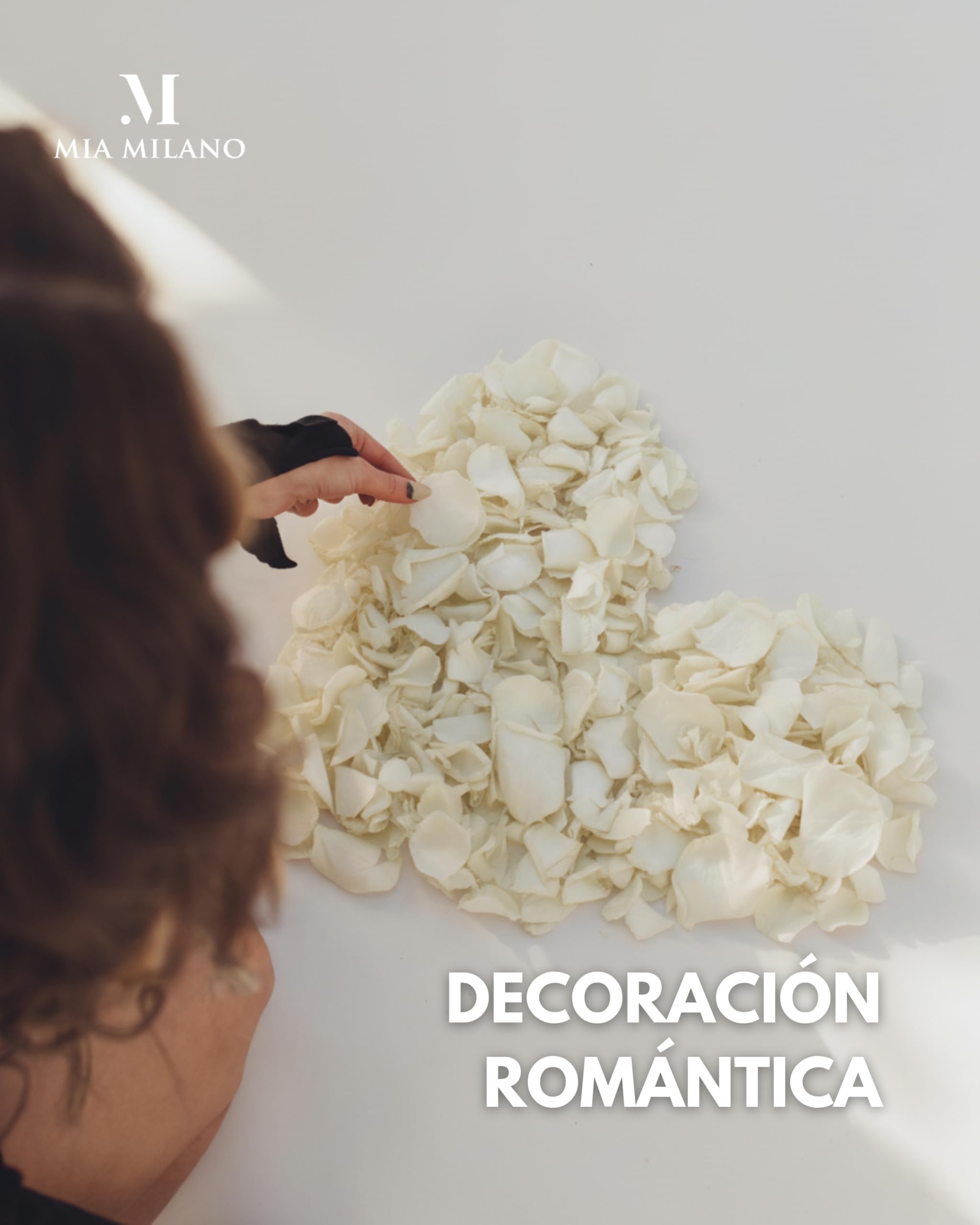 Mia Milano Pétalos de Rosa Auténticos I Pétalos de Rosa Deco de Rosas Infinitas I Regalo San Valentin I Flores de Rosas Auténticas en Caja de Regalo (Blanco, 150g)