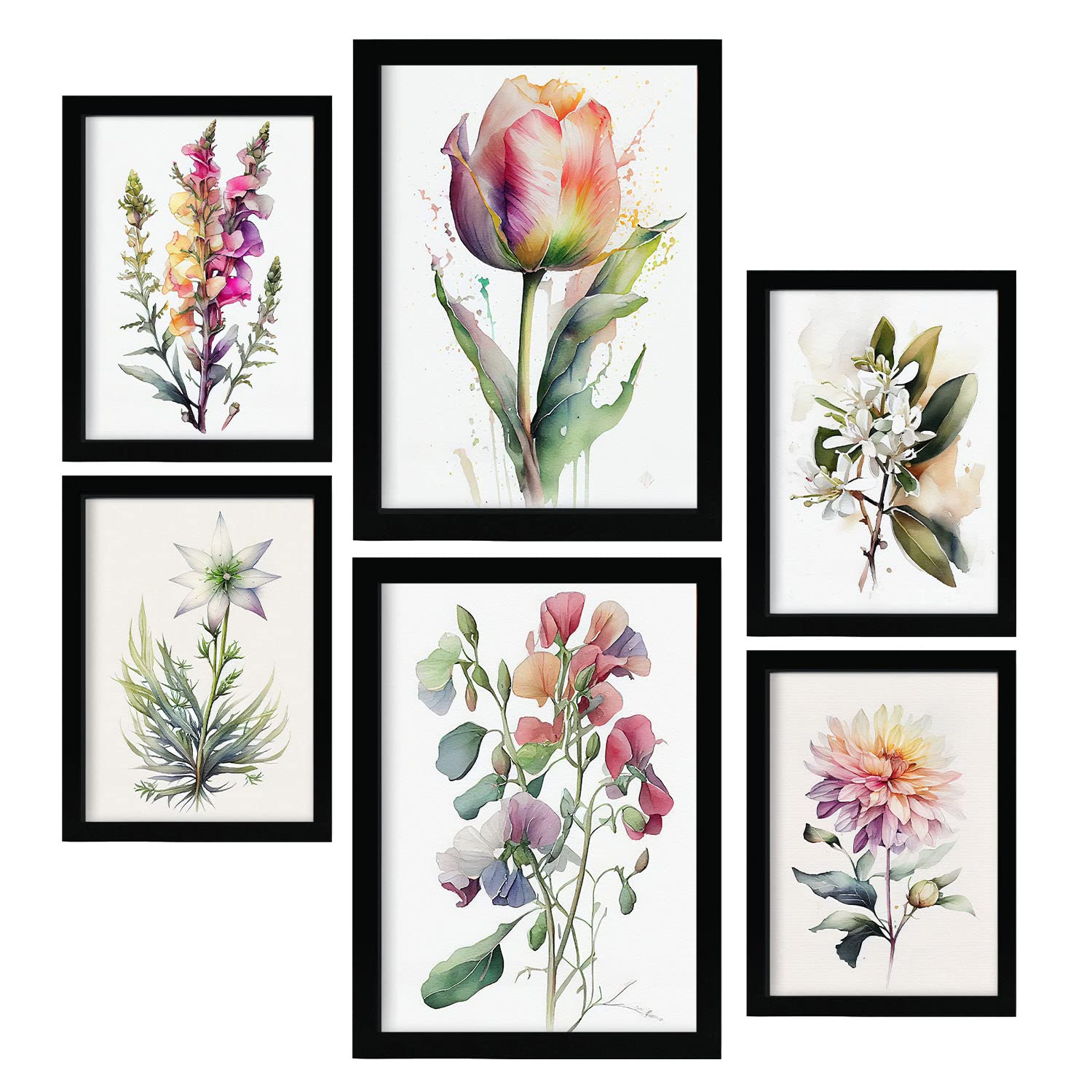 Nacnic Wild Flowers Posters. Full Colour Nature and Botany Prints with Floral Themes over Pure White Backgrounds. Aesthetic Illustrations for Interior Design and Decoration. A4 & A3.