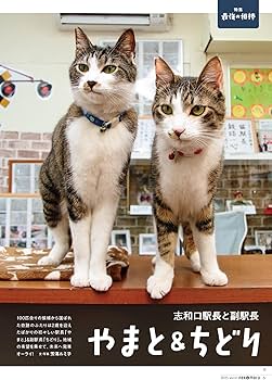 ネコまる 2025年夏秋号 vol.50 (タツミムック) | 辰巳出版 |本 | 通販