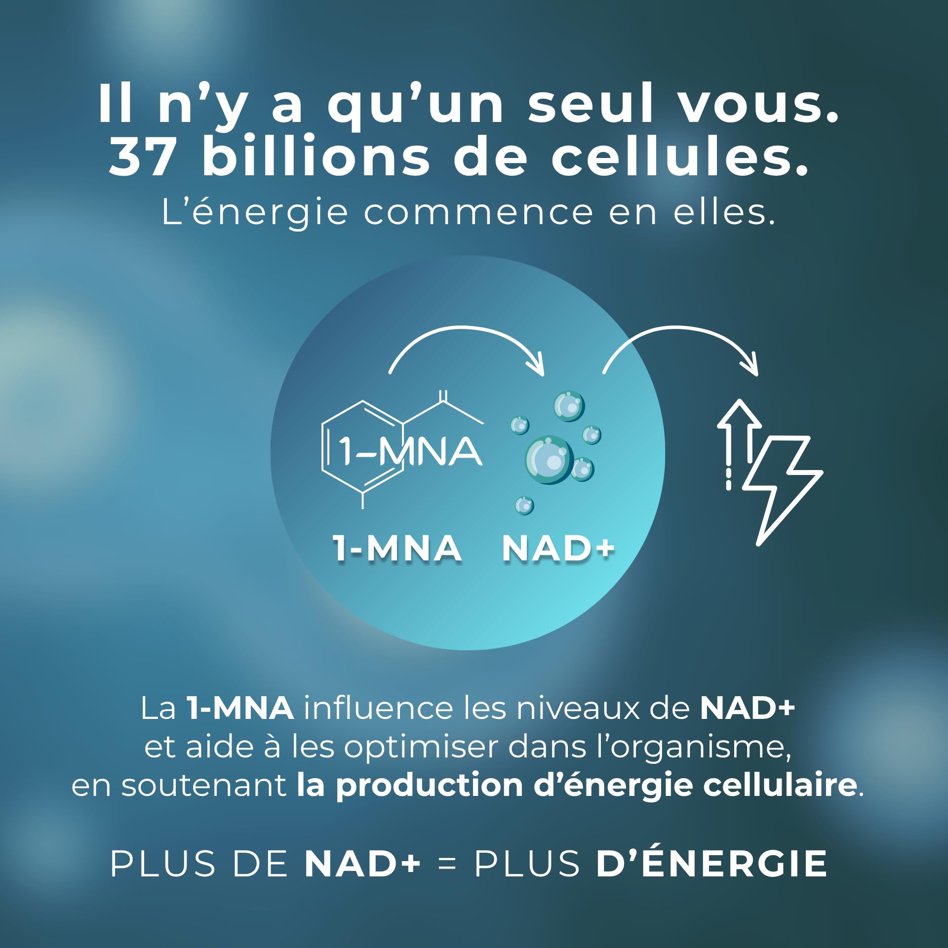 1-MNA, Supplément Anti-âge, Optimise le NAD+, Biohacking, Soutien à la Santé Cellulaire, Formulé Scientifiquement avec une Biodisponibilité Améliorée, 30 Capsules