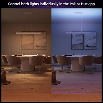 Philips Hue Ensis Smart LED Pendant Light White, Two Light Sources, White & Color Light, Bluetooth Compatible, Voice Control with Alexa, Apple Home & Google Assistant