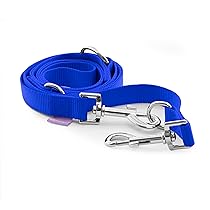 Record – Guinzaglio Addestramento per Cani – Realizzato in Nylon – Dotato di Moschettone in Metallo -Molto Resistente – Colore Blu – Taglia L – 2,3 cm – Lunghezza 220 cm
