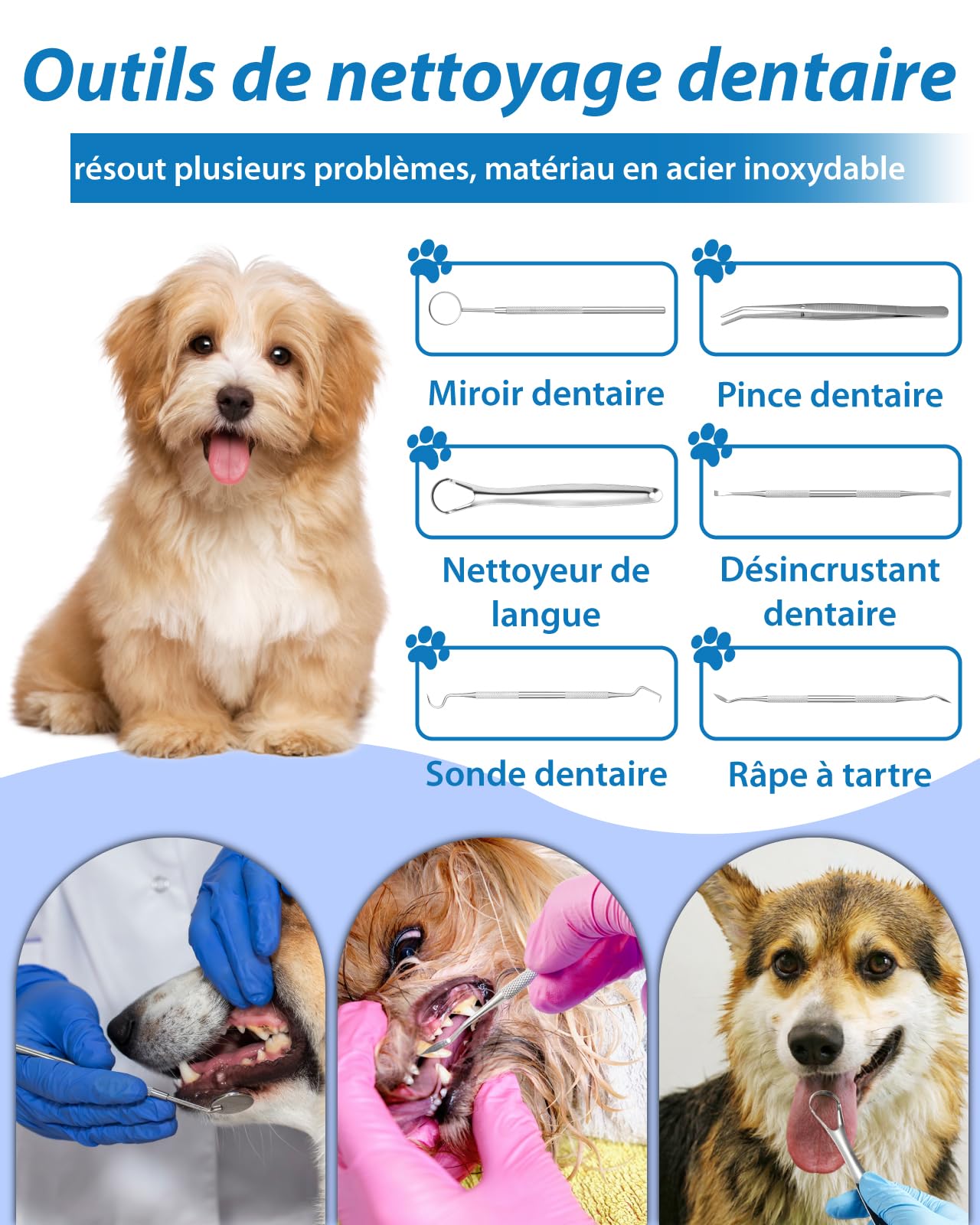 Kit de Nettoyage Tartre Dentaire à Ultrasons pour Chien et Chat, Detartreur Brosses à Ultrasonique Dents Détachant Nettoyeur, 5 Modes de Nettoyage et 4 Têtes de Nettoyage pour Pet Animaux de Compagnie