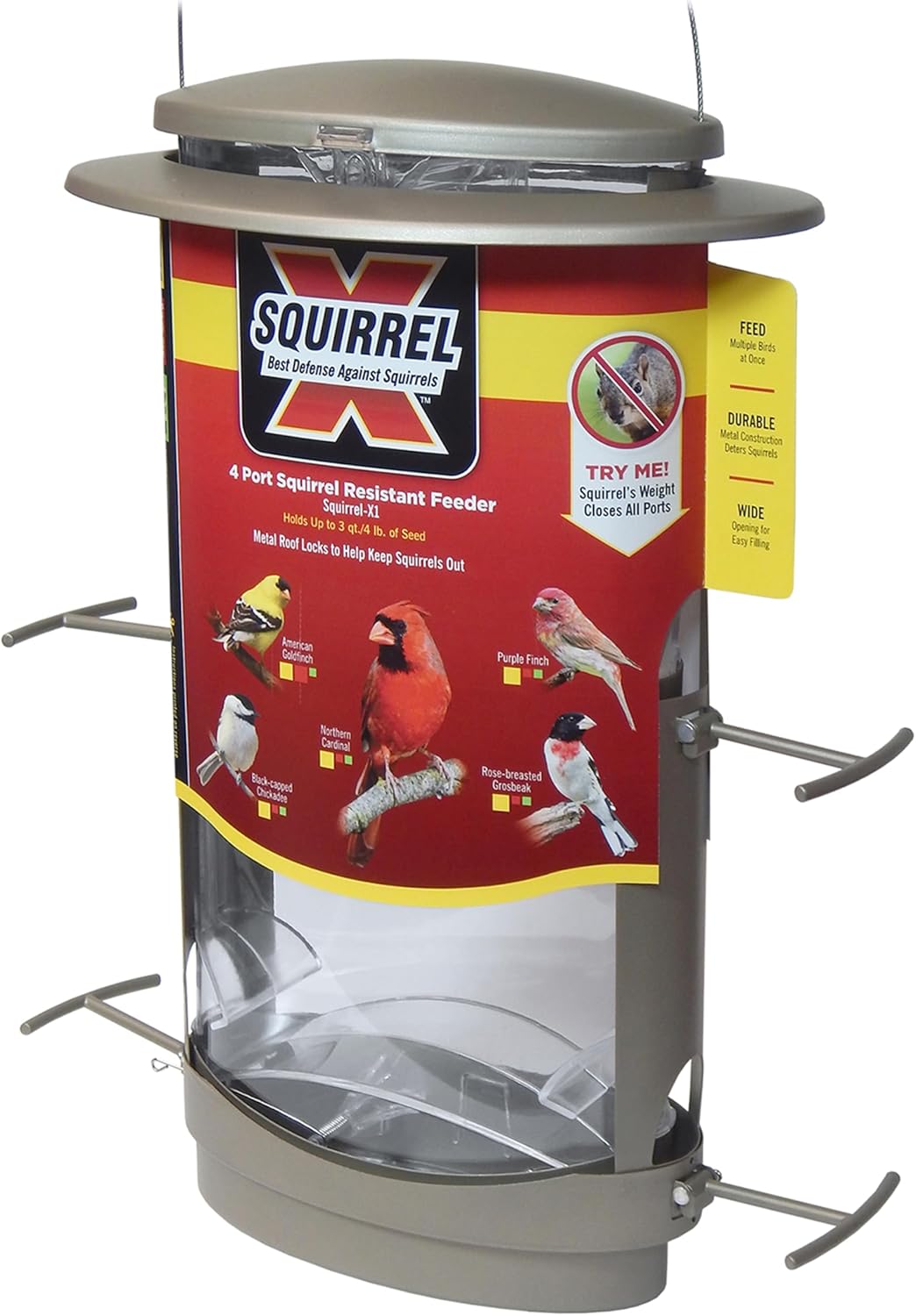 More Birds X-1 Squirrel-Proof Bird Feeder with 4.2-Pound Bird Seed Capacity