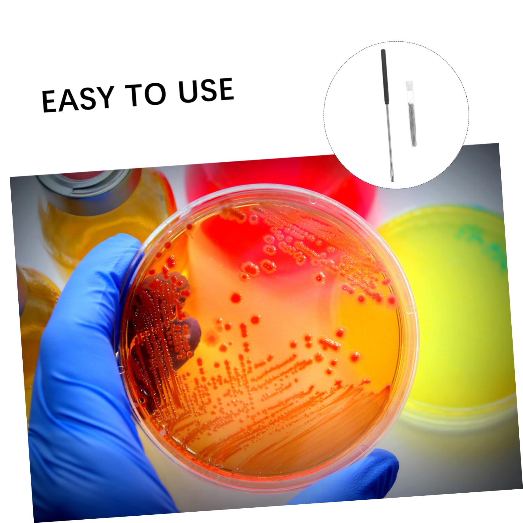 Anneome 3sets Inoculazione Inossidabile Per Microbiologia Kit Inoculante Per Esperimenti Scientifici e Didattici Isolante