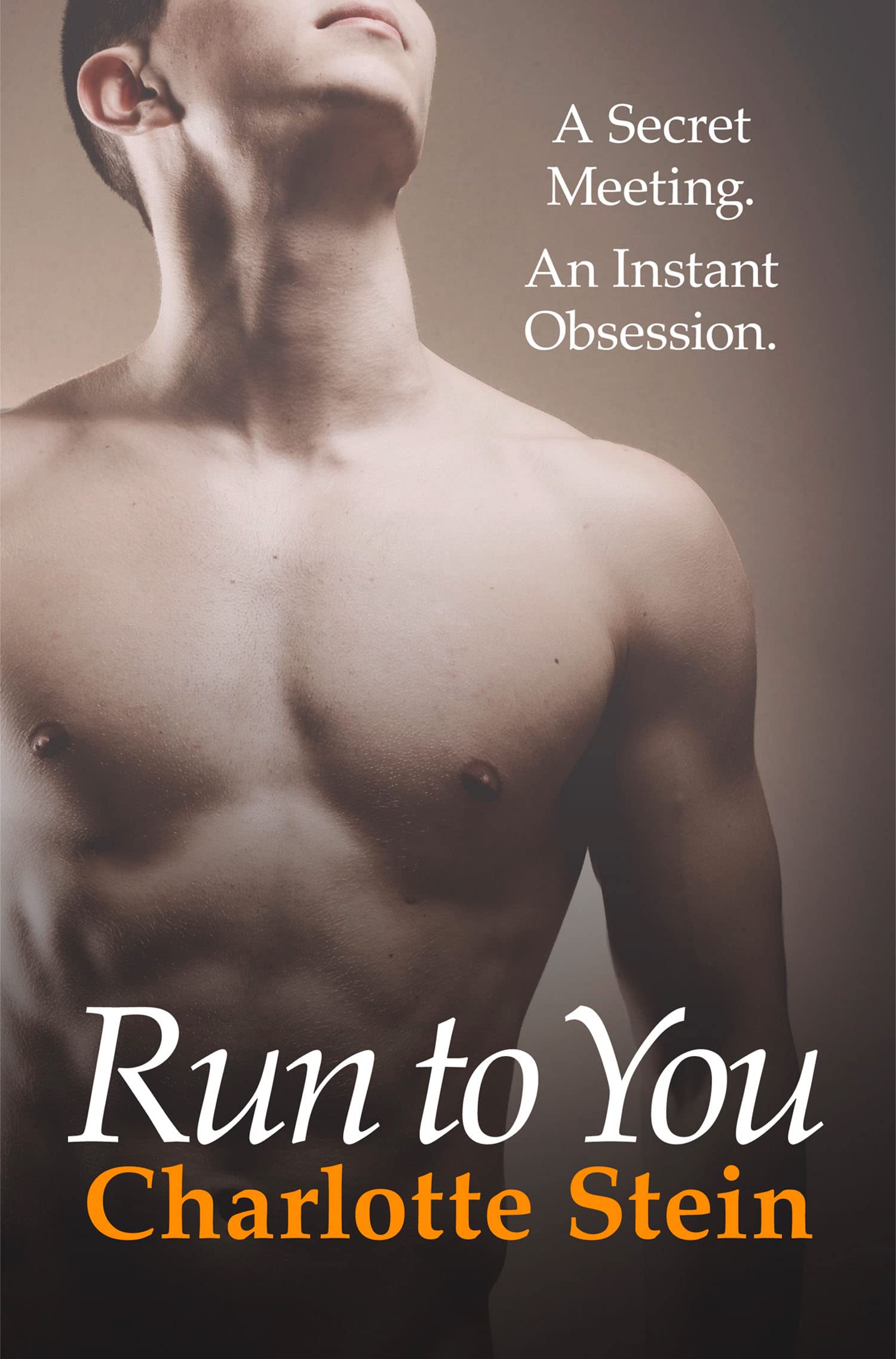 RUN TO YOU: A Contemporary Romance Novel of Secret Assignations and Kinky Passion