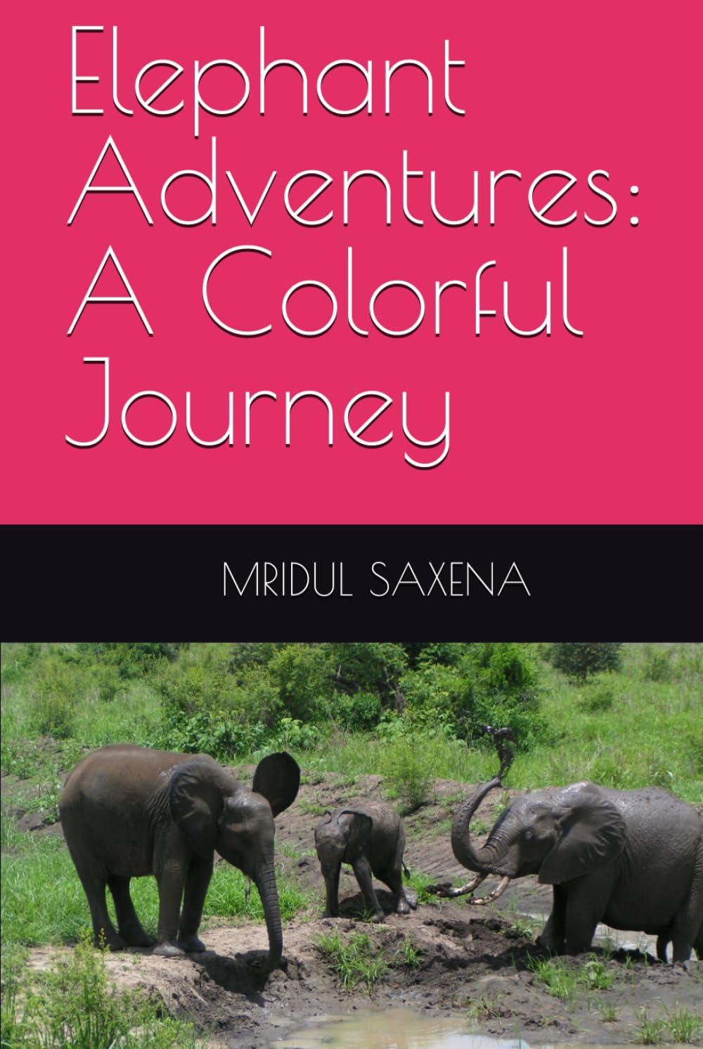 Elephant Adventures: A Colorful Journey (Colouring books for children)