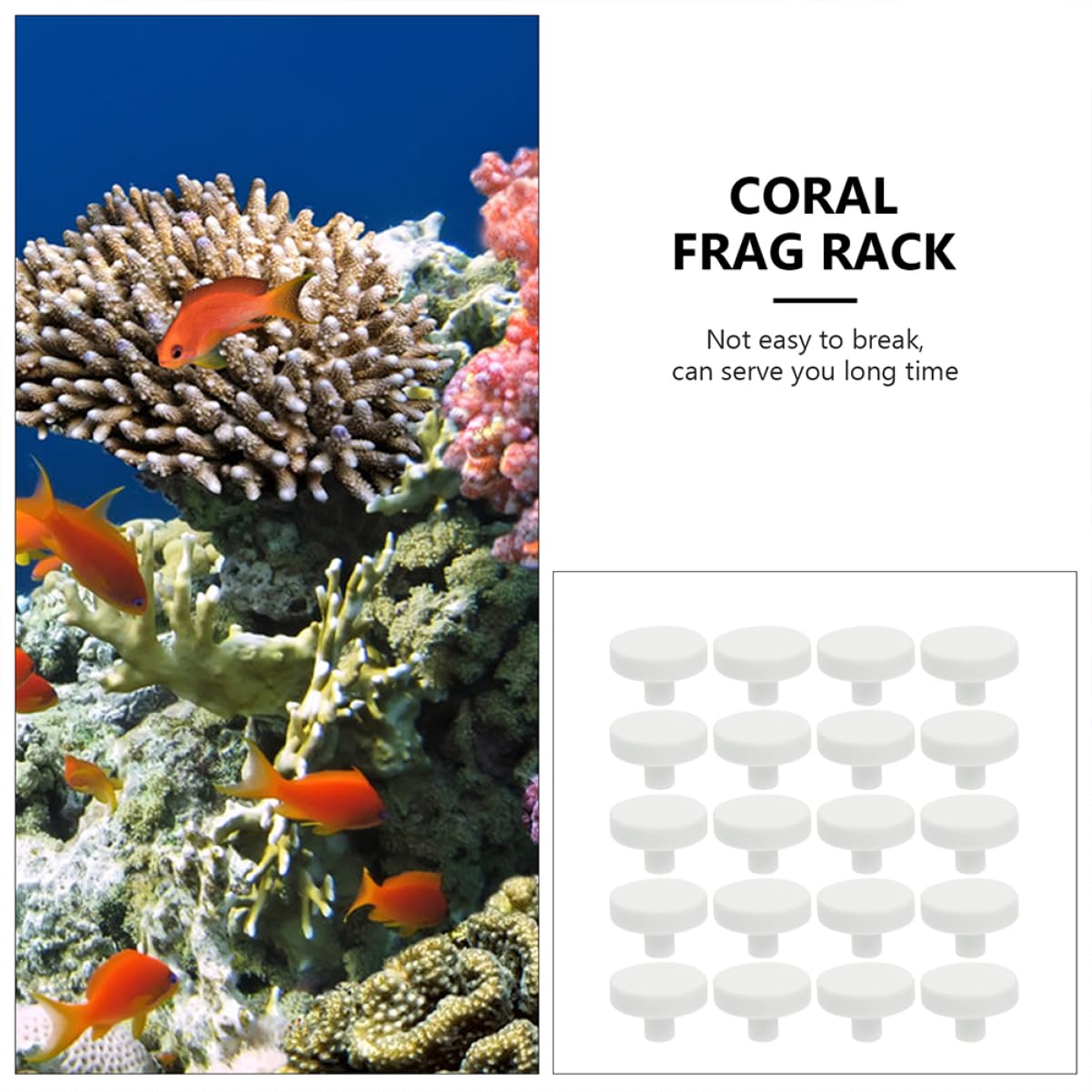 40 Stück Keramik Korallenstützen - T-förmig, Weiß, Für Süß- & Salzwasseraquarium