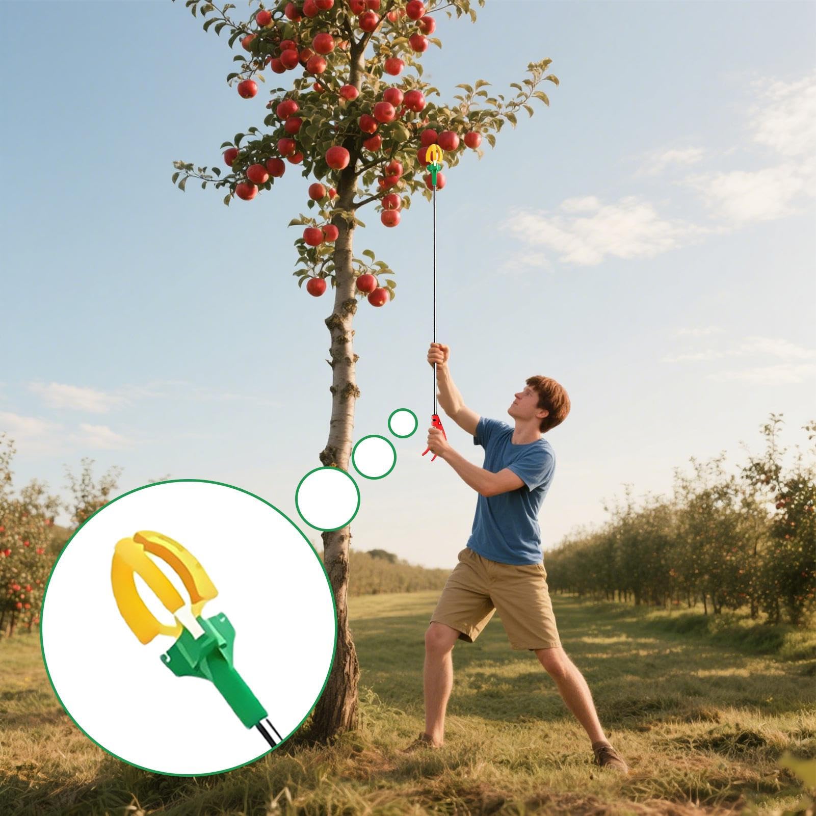Di Frutta - 3 Metri Di Raccoglitori Di Frutta Per Alberi | Cherry Picker | Picker | Pickers Di Ciliegie Per Pere | La Raccolta Del Telescopico Può Essere Tirato Fuori | Abbigliamento Man
