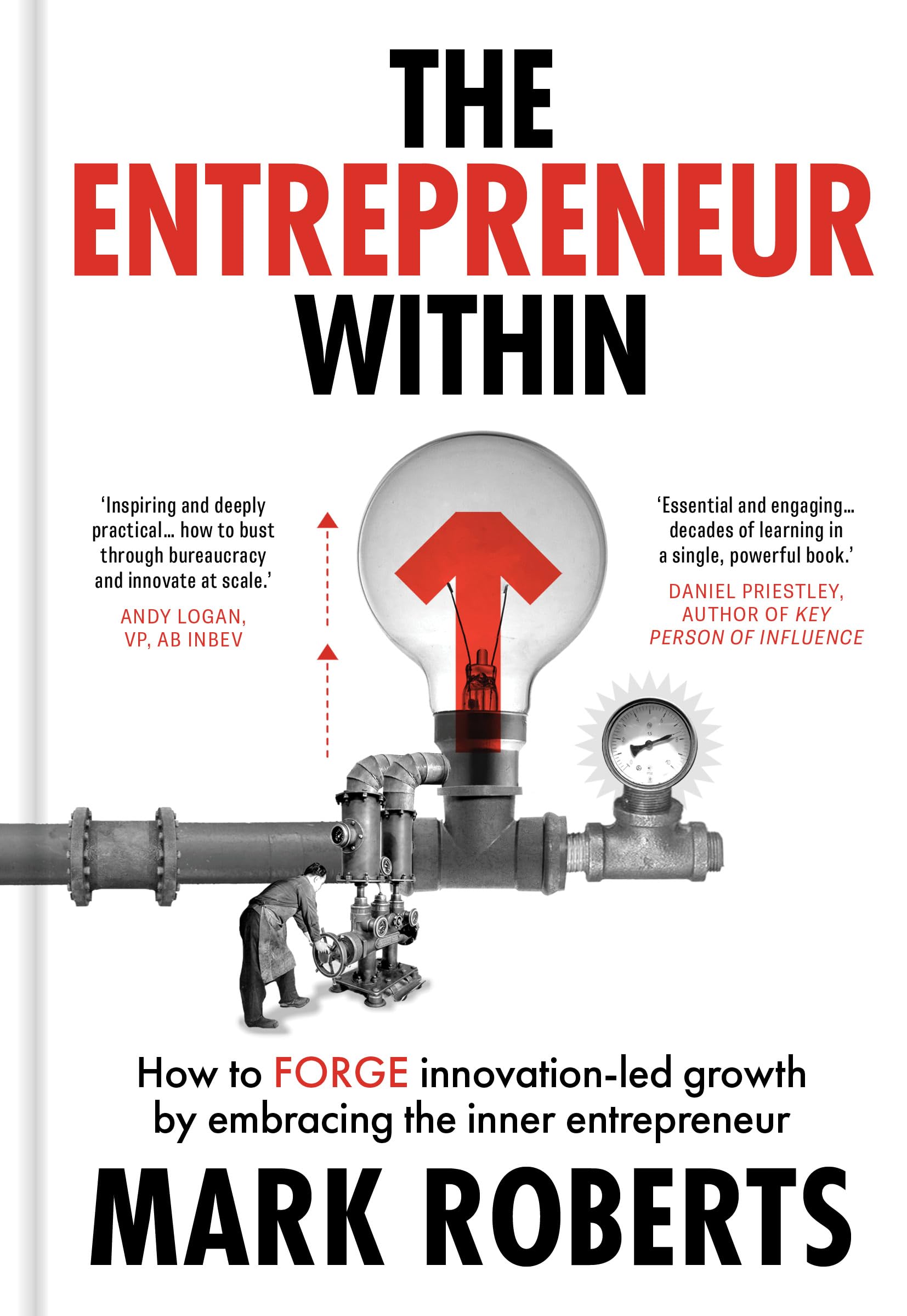 Entrepreneur Within by Mark Roberts (Hardback Book)