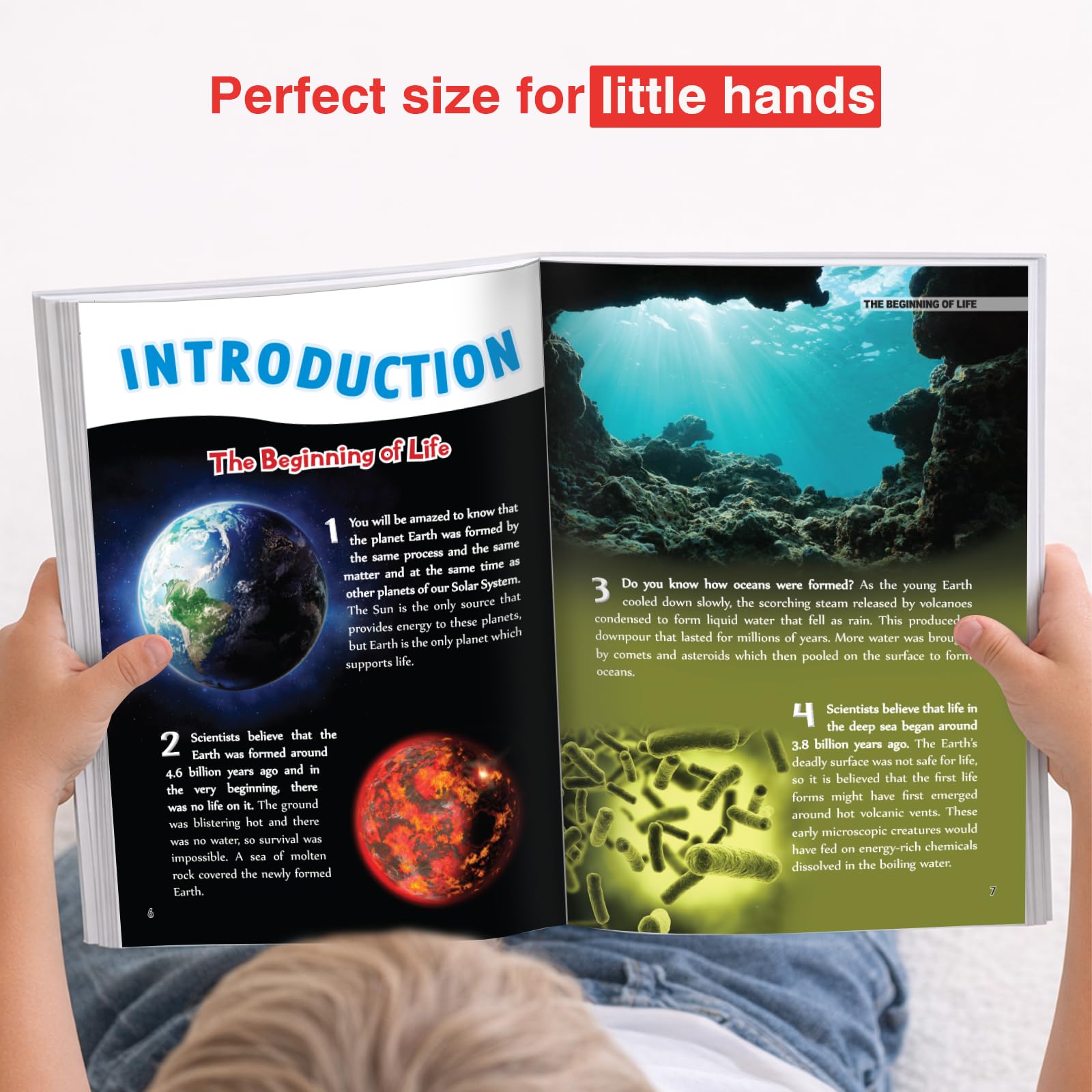 Journey Through Time: The Ultimate Guide to 500 Fascinating Dinosaur Facts for Kids 4
