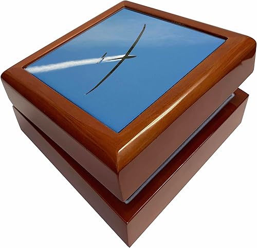 3dRose Glider airplane, Water Ballast, Santiago, Chile - SA05 DWA0069 - David Wall, Jewelry Box jb-85857-1