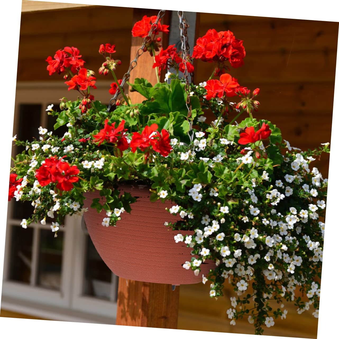 Selbstbewässernder mit Praktischem Design und Feiner Verarbeitung aus Kunststoff Pflanztopf Hängender für Blumen und Grüne Pflanzen für Garten und Balkon